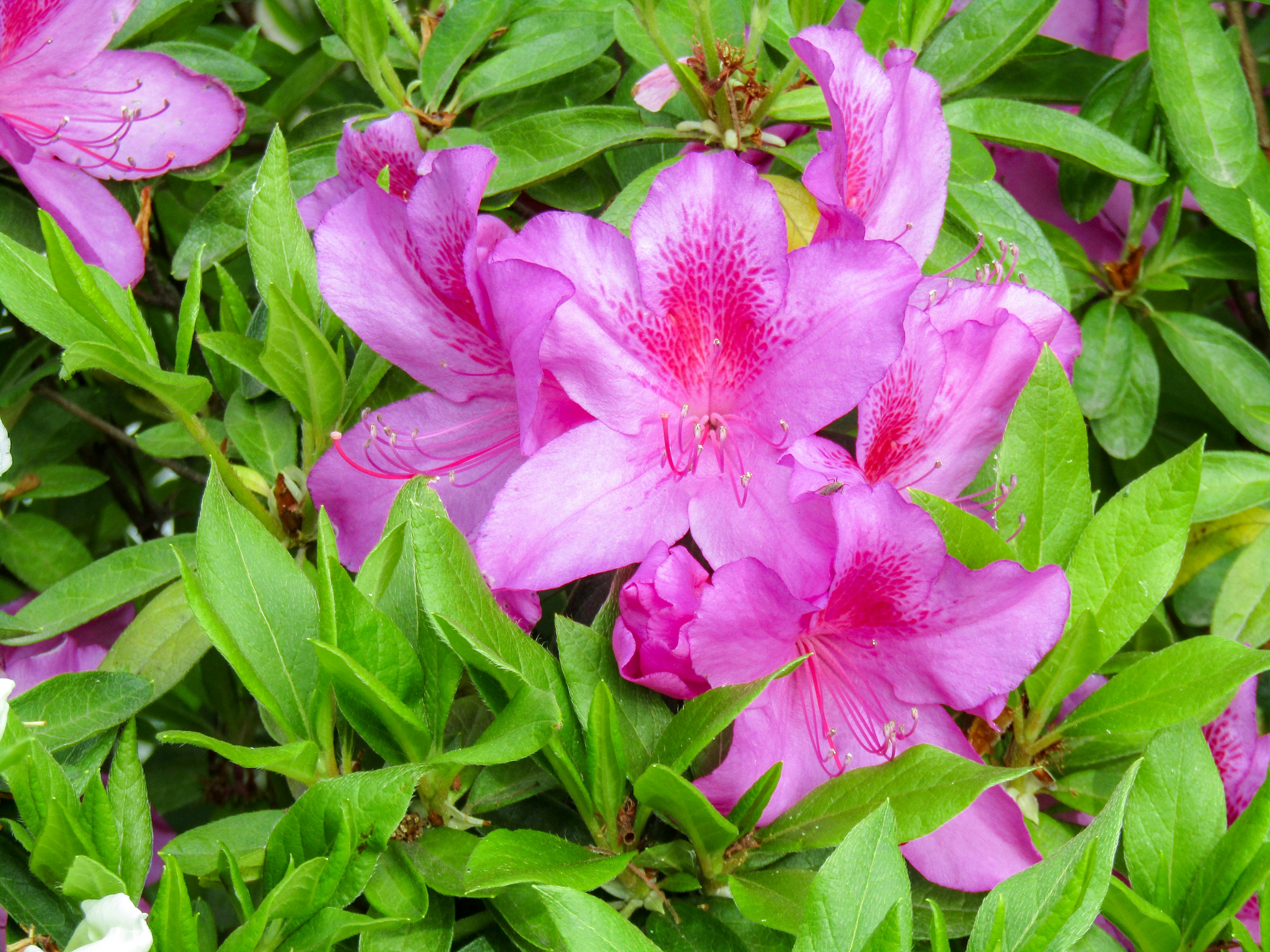 Photo by heppoko_yama