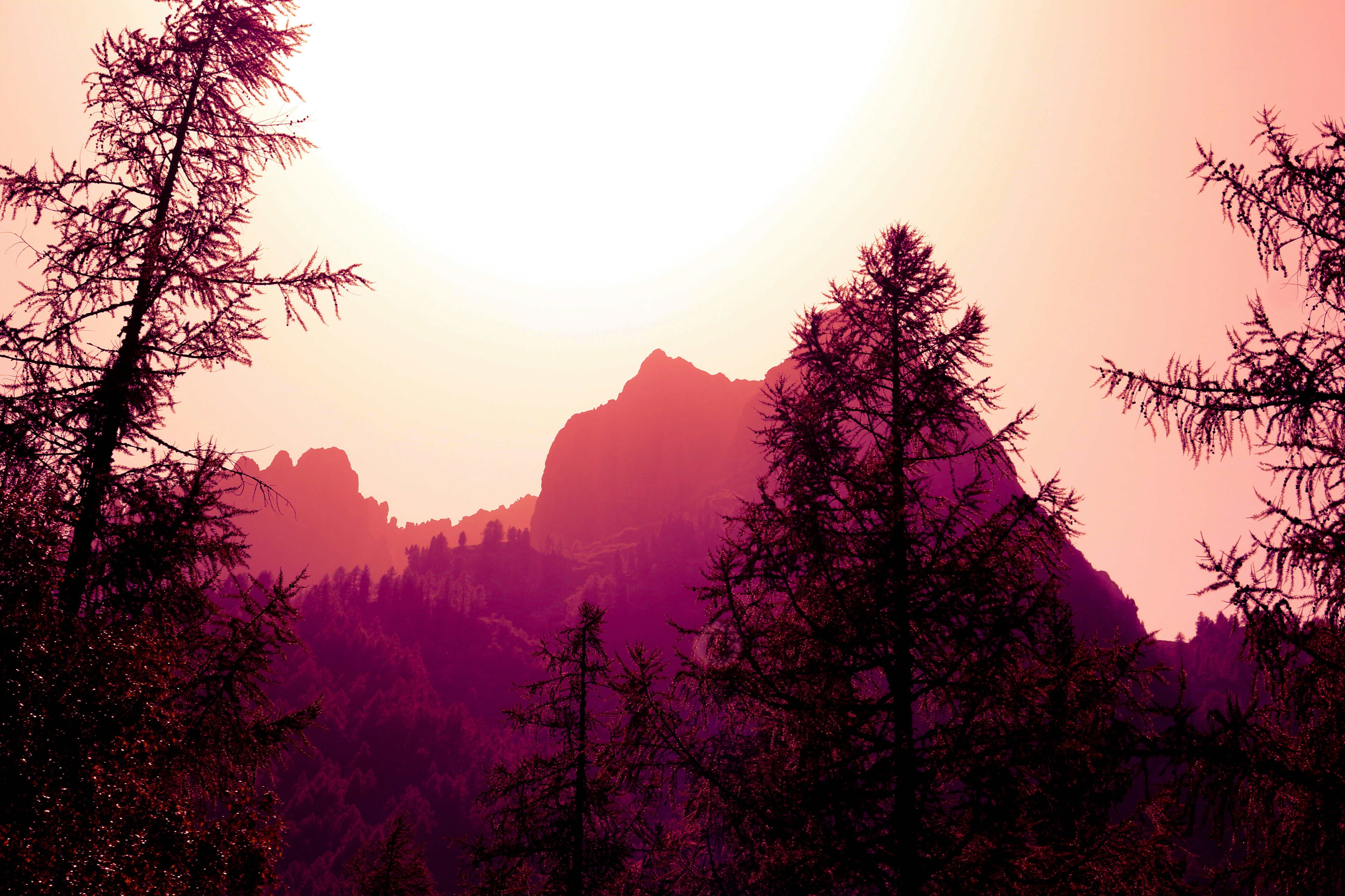 Photo by baptistebuiss