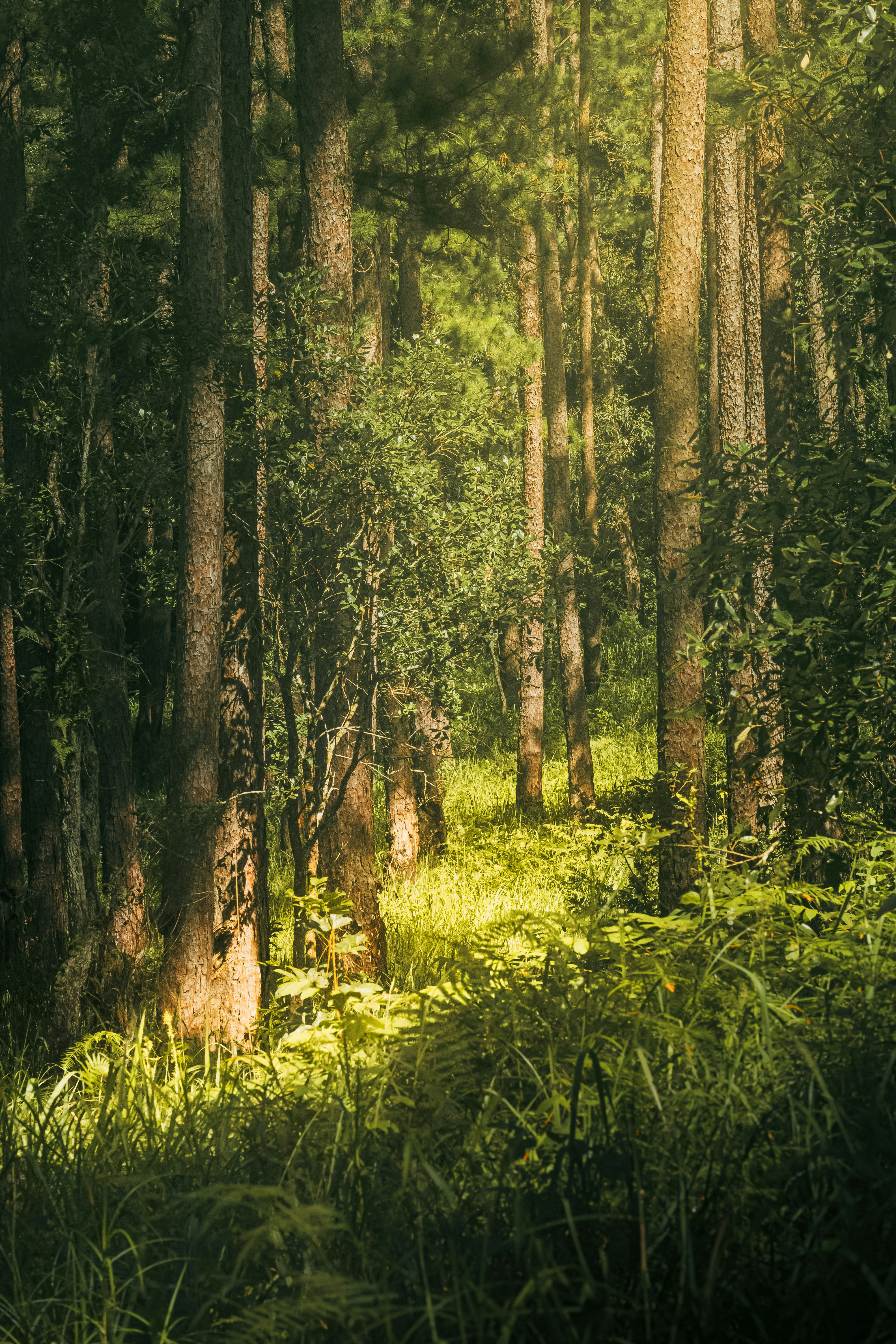 Photo by xiaowuuuuuuu