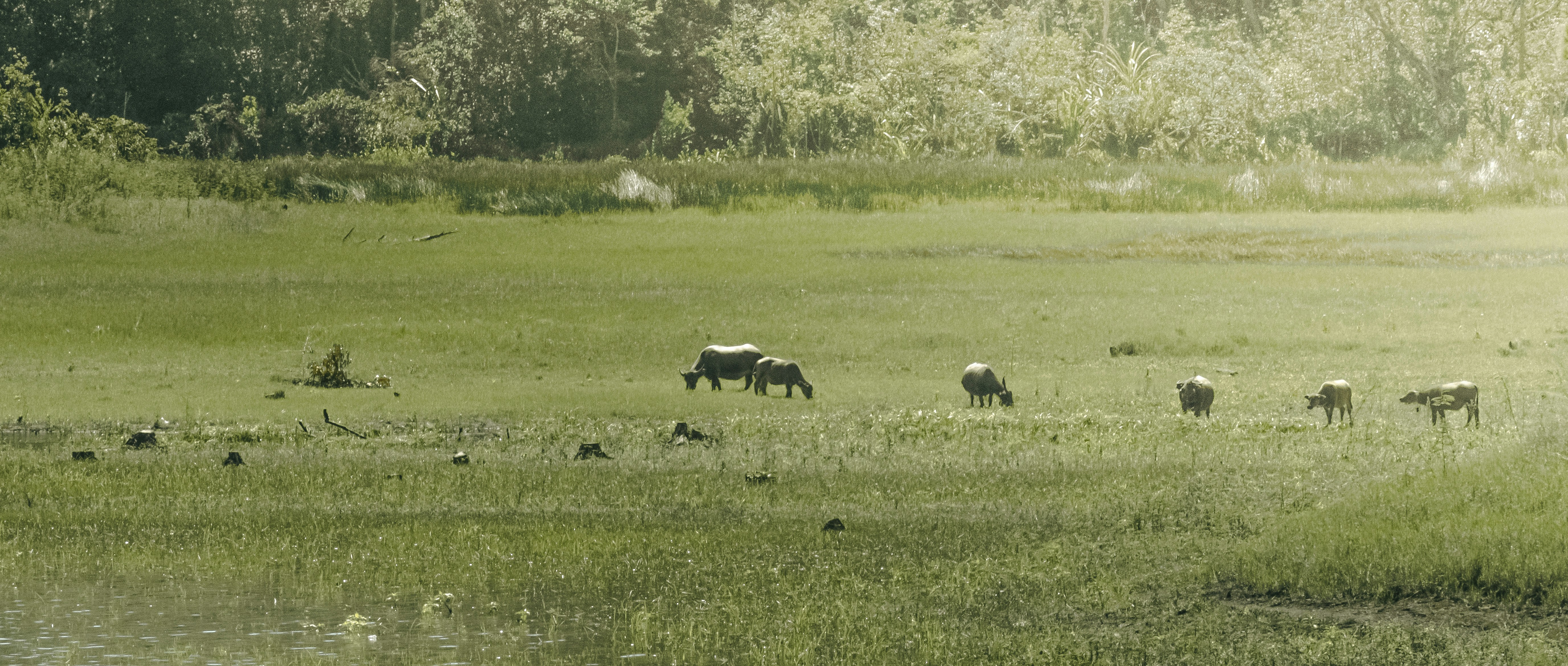 Photo by xiaowuuuuuuu