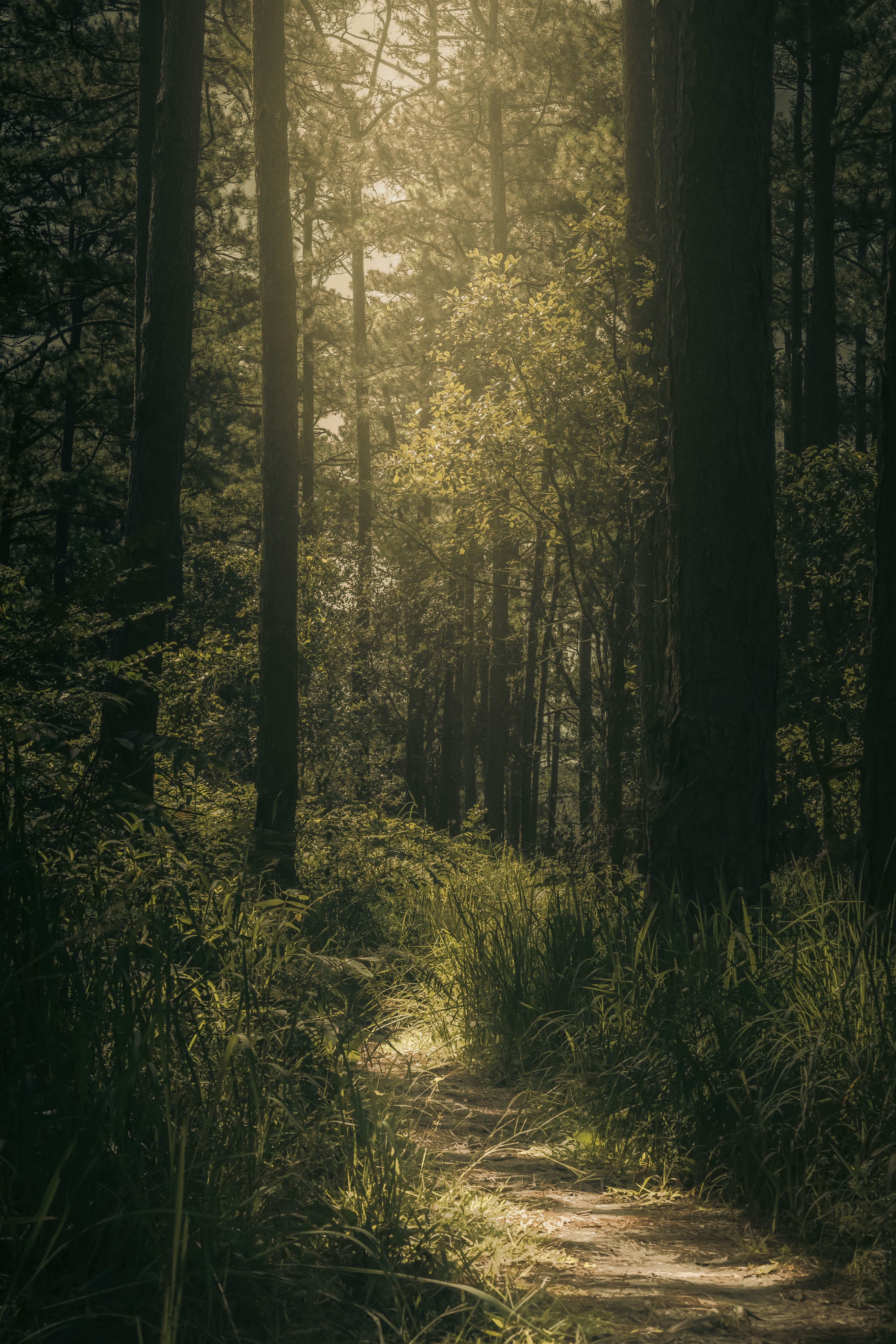 Photo by xiaowuuuuuuu