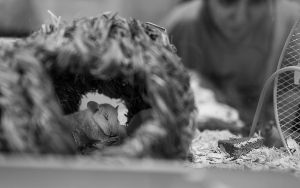 grayscale photo of person lying on sand