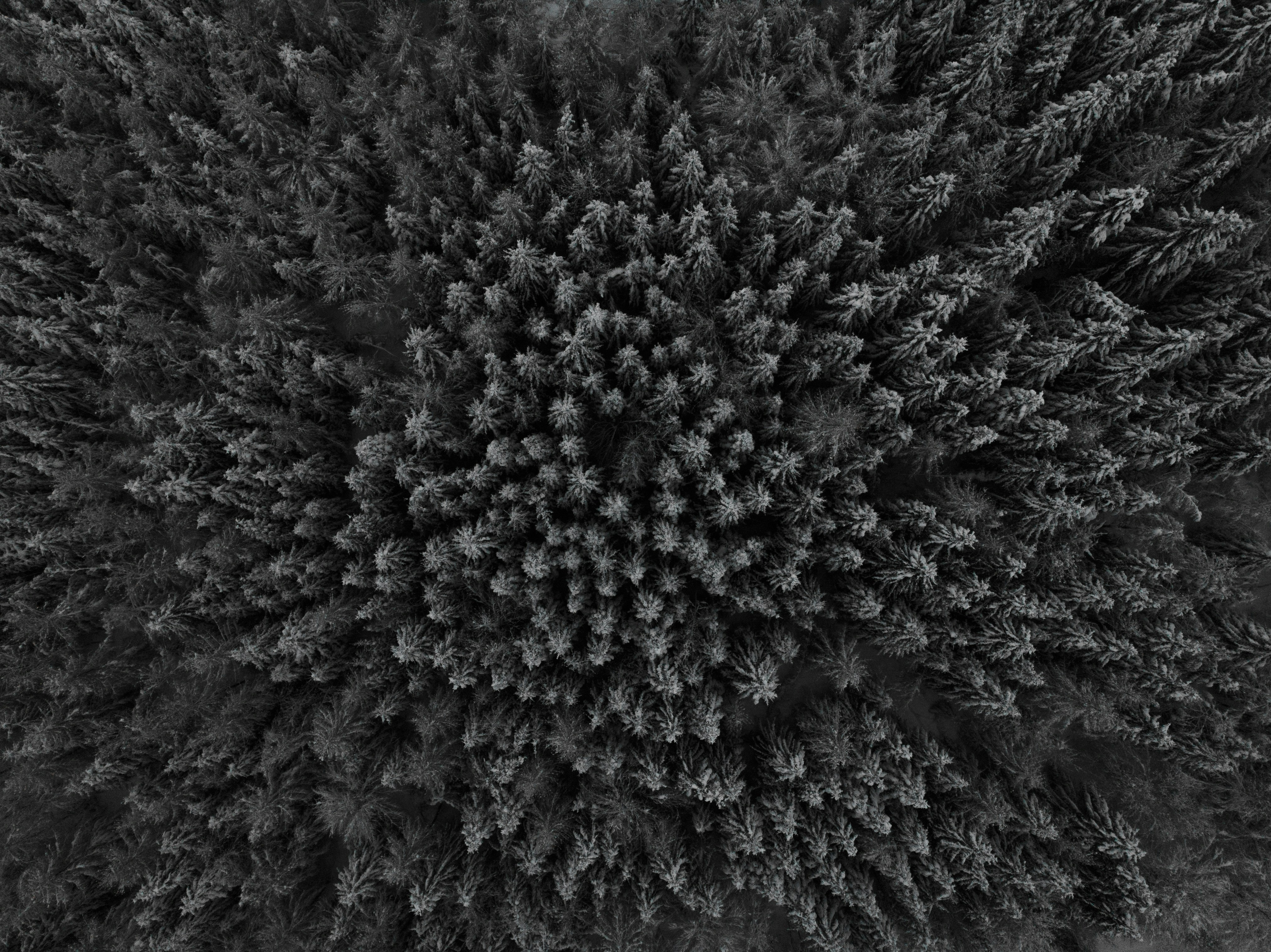 Photo by stefanbriggs