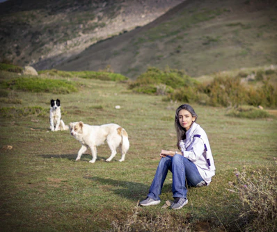 woman in blue denim jacket standing beside white and brown dogs on green grass field during