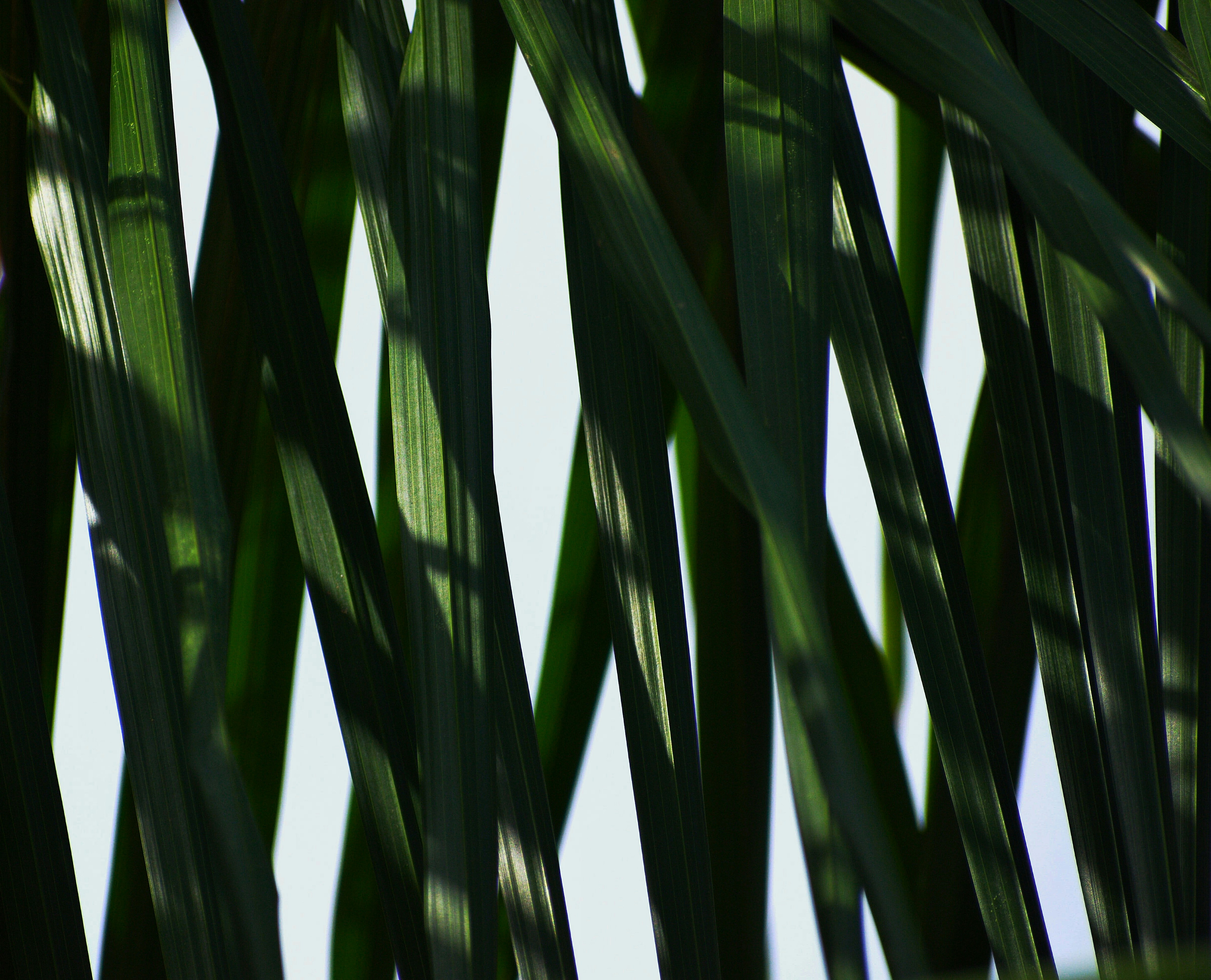 Photo by photographedstories