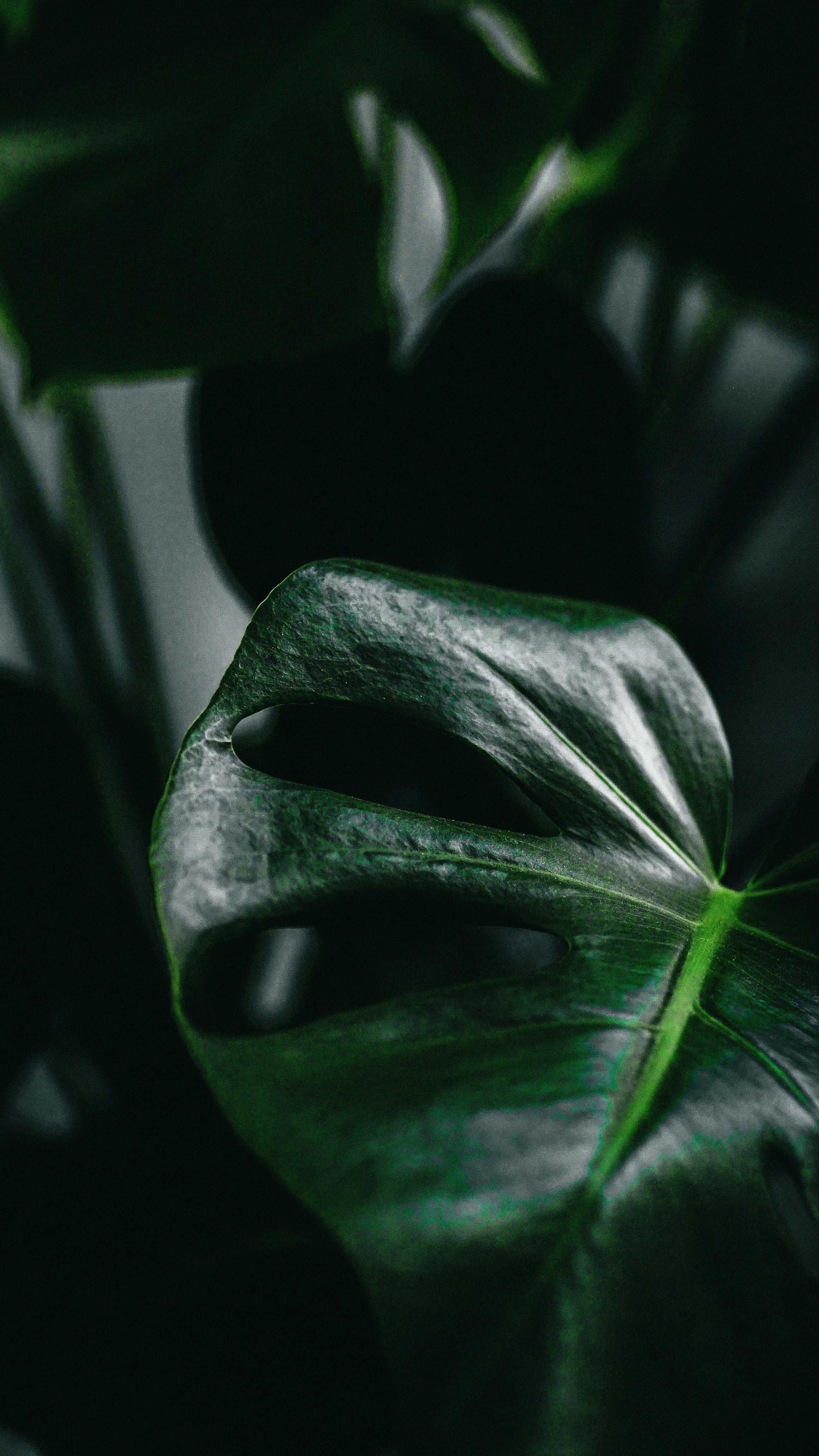 Photo by laurachouette