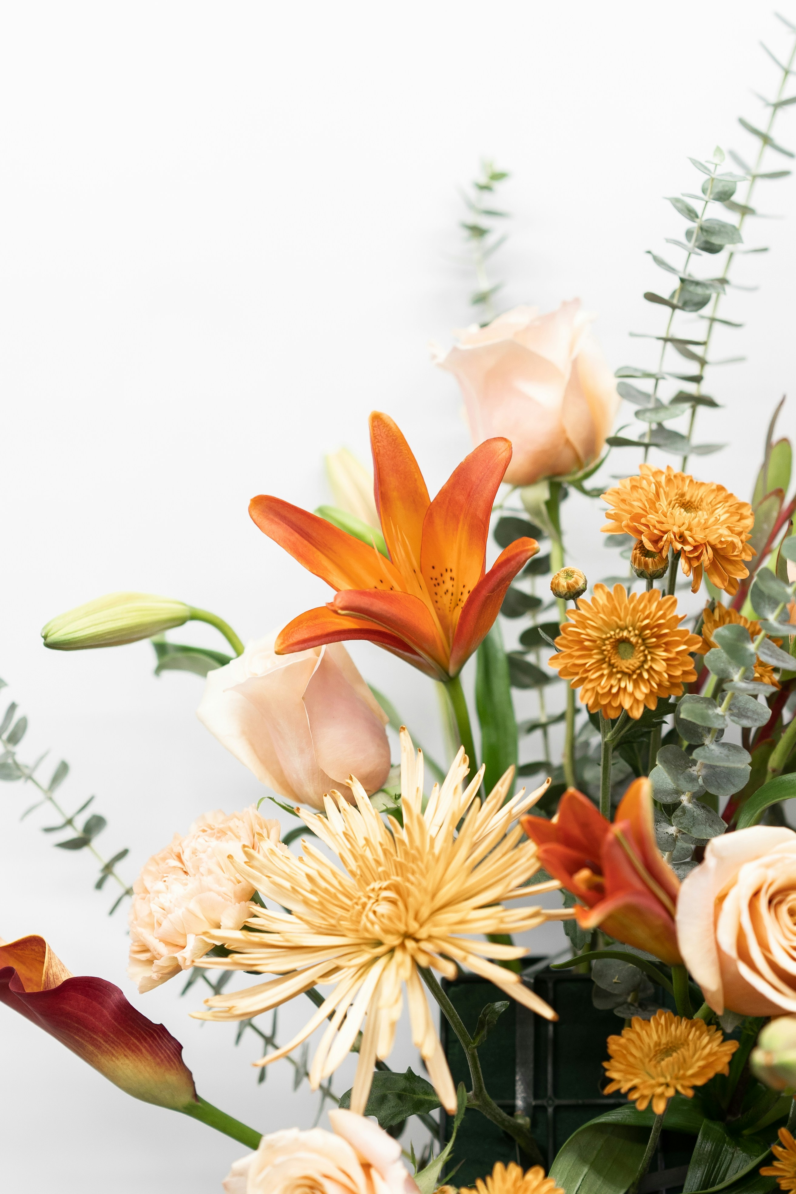 Photo by courtneymcook