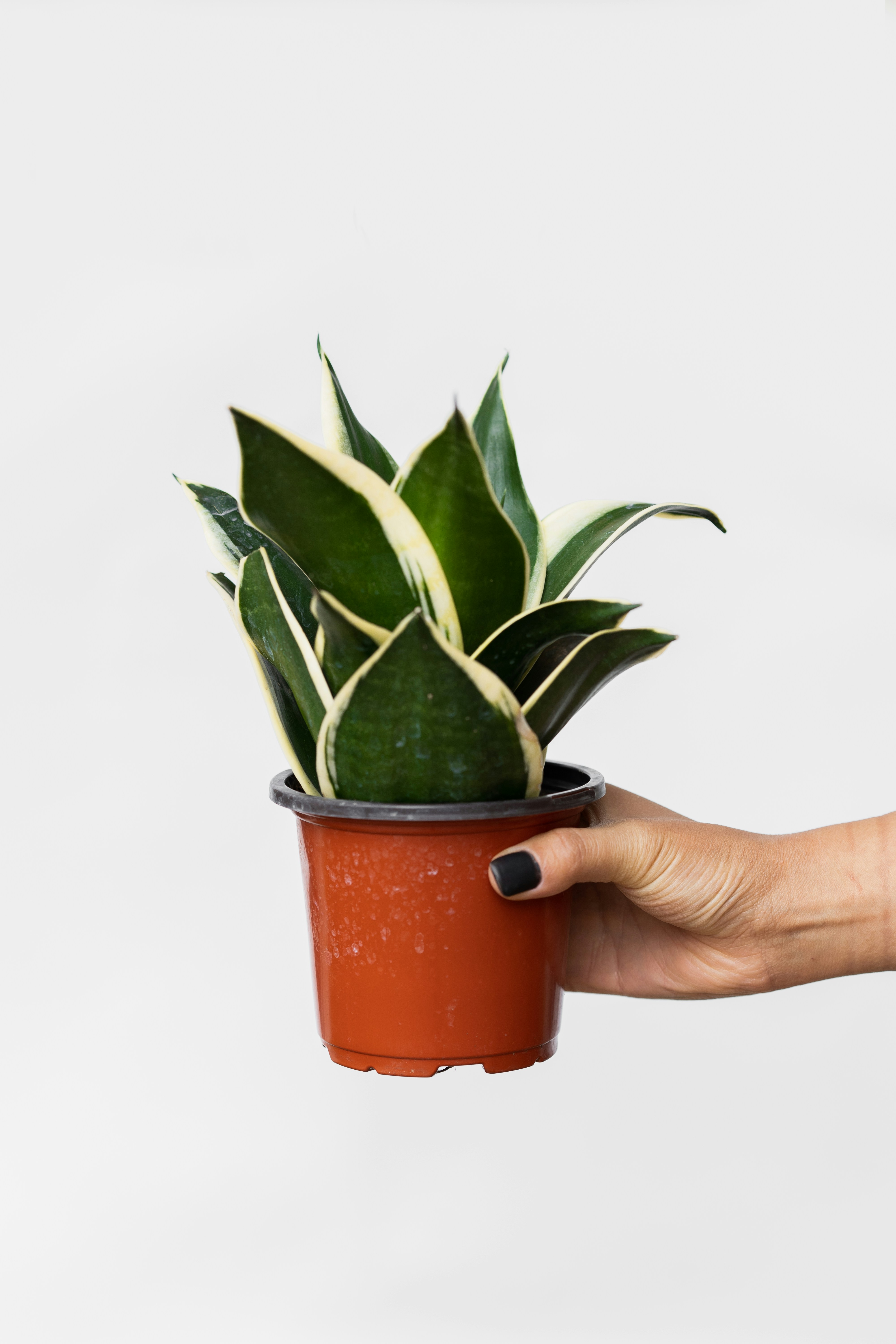 Photo by courtneymcook