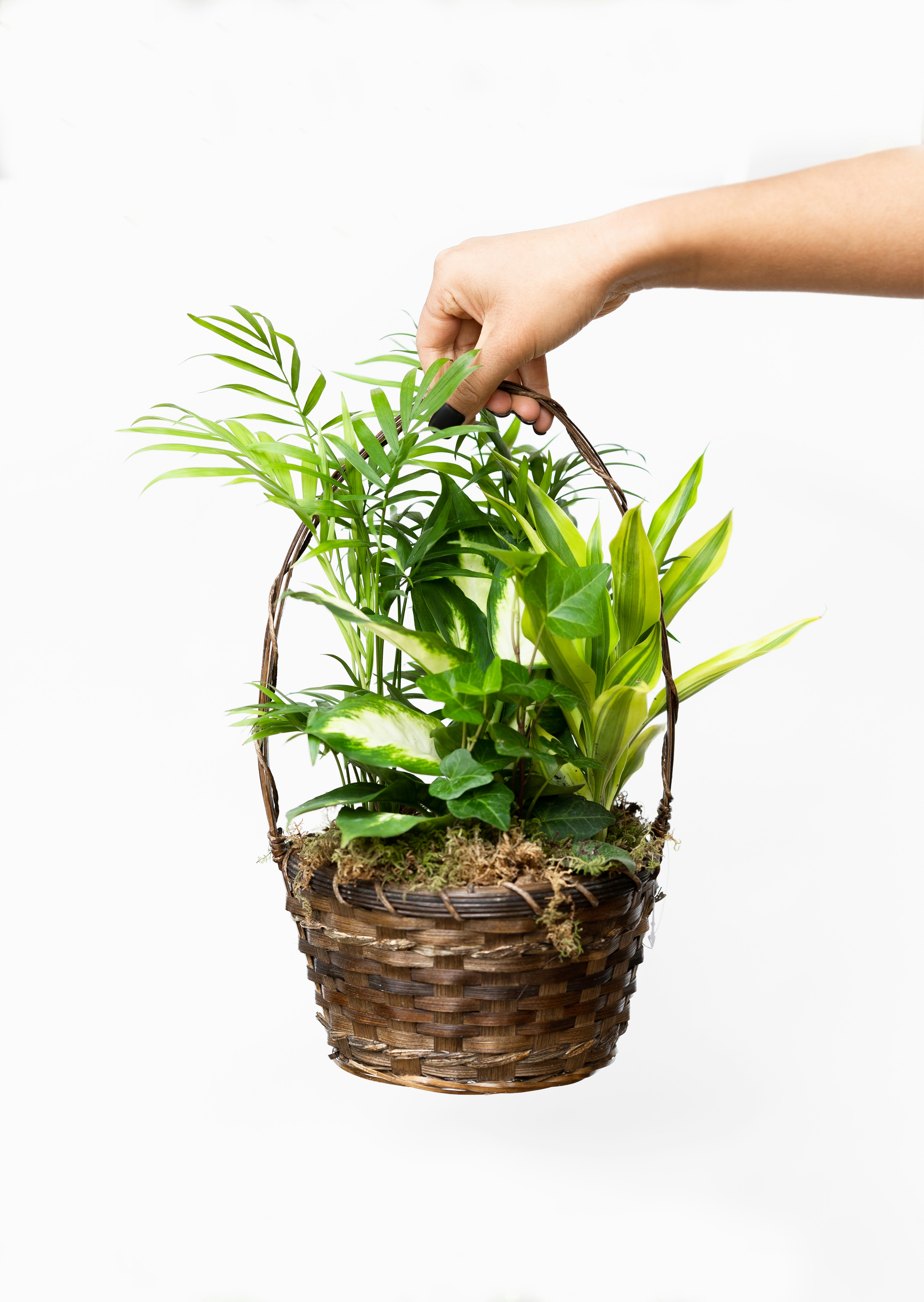 Photo by courtneymcook