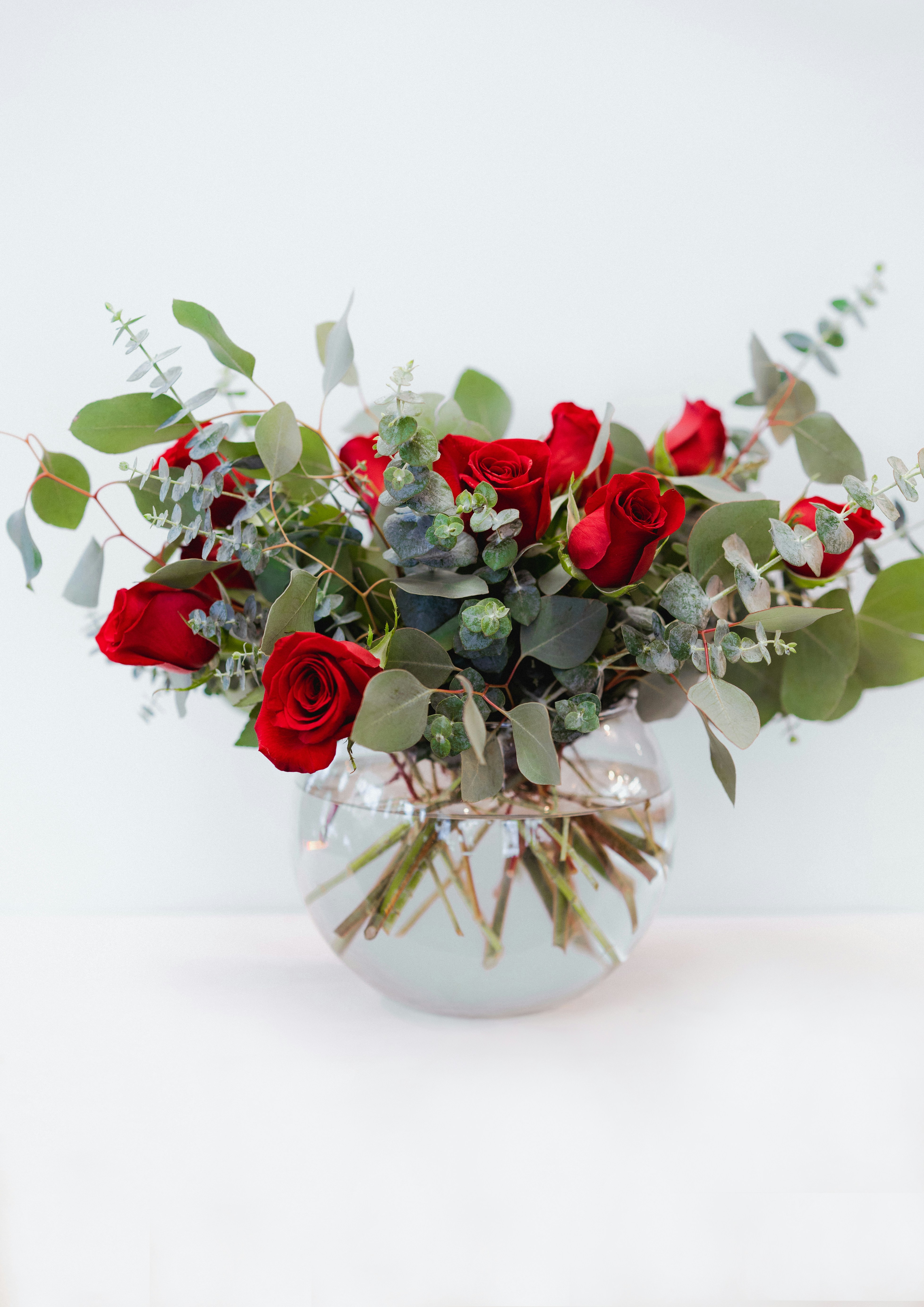 Photo by courtneymcook