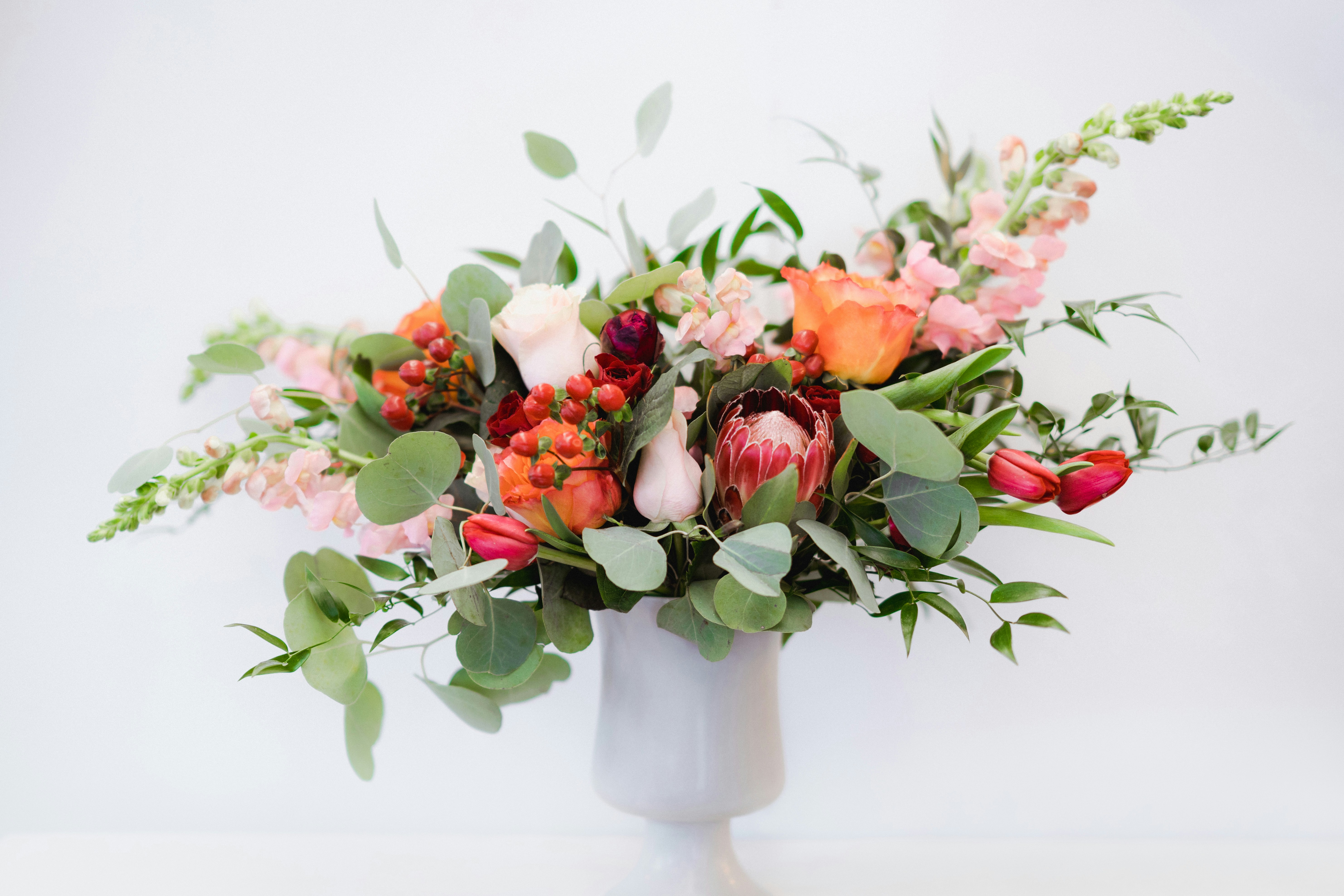 Photo by courtneymcook