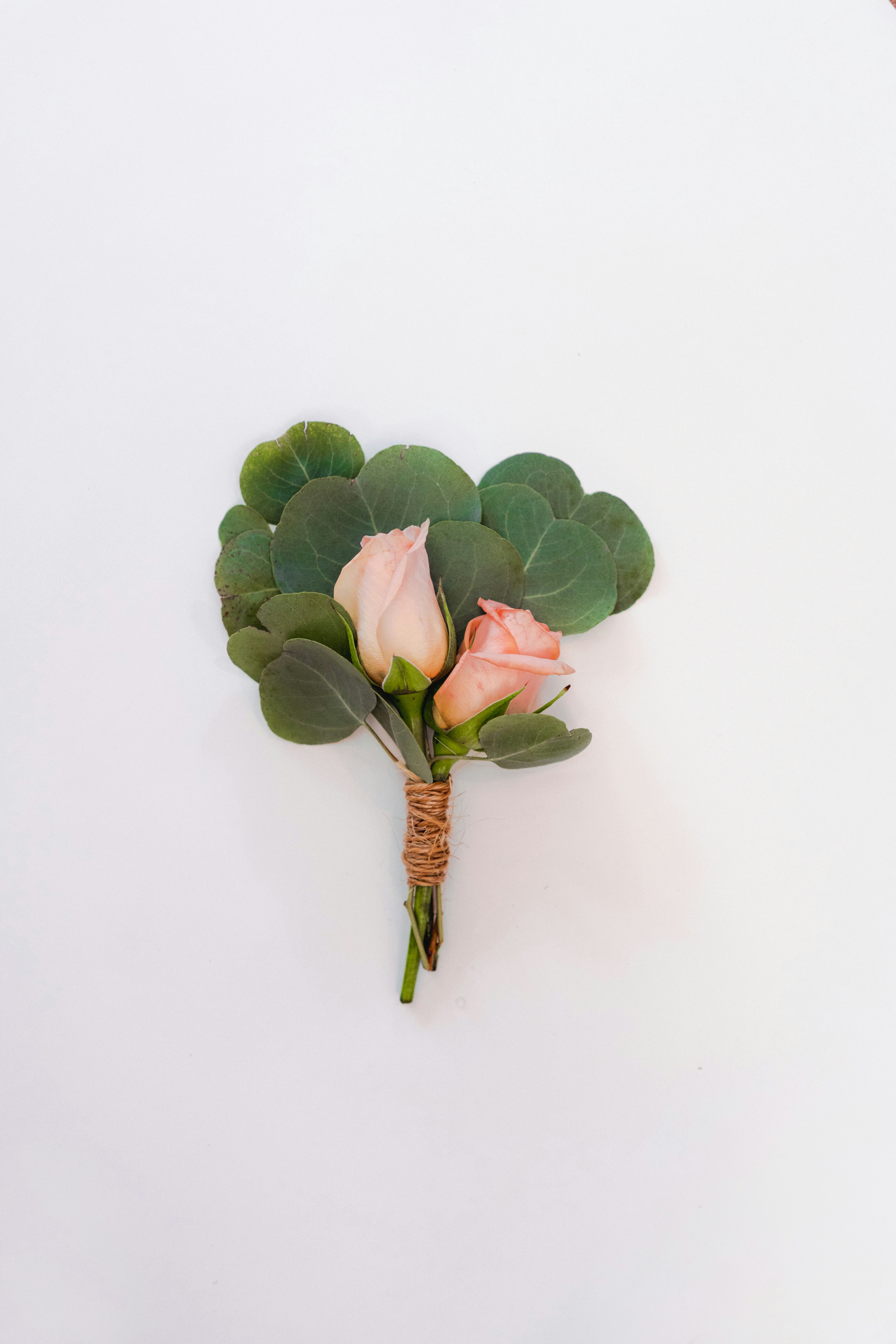 Photo by courtneymcook