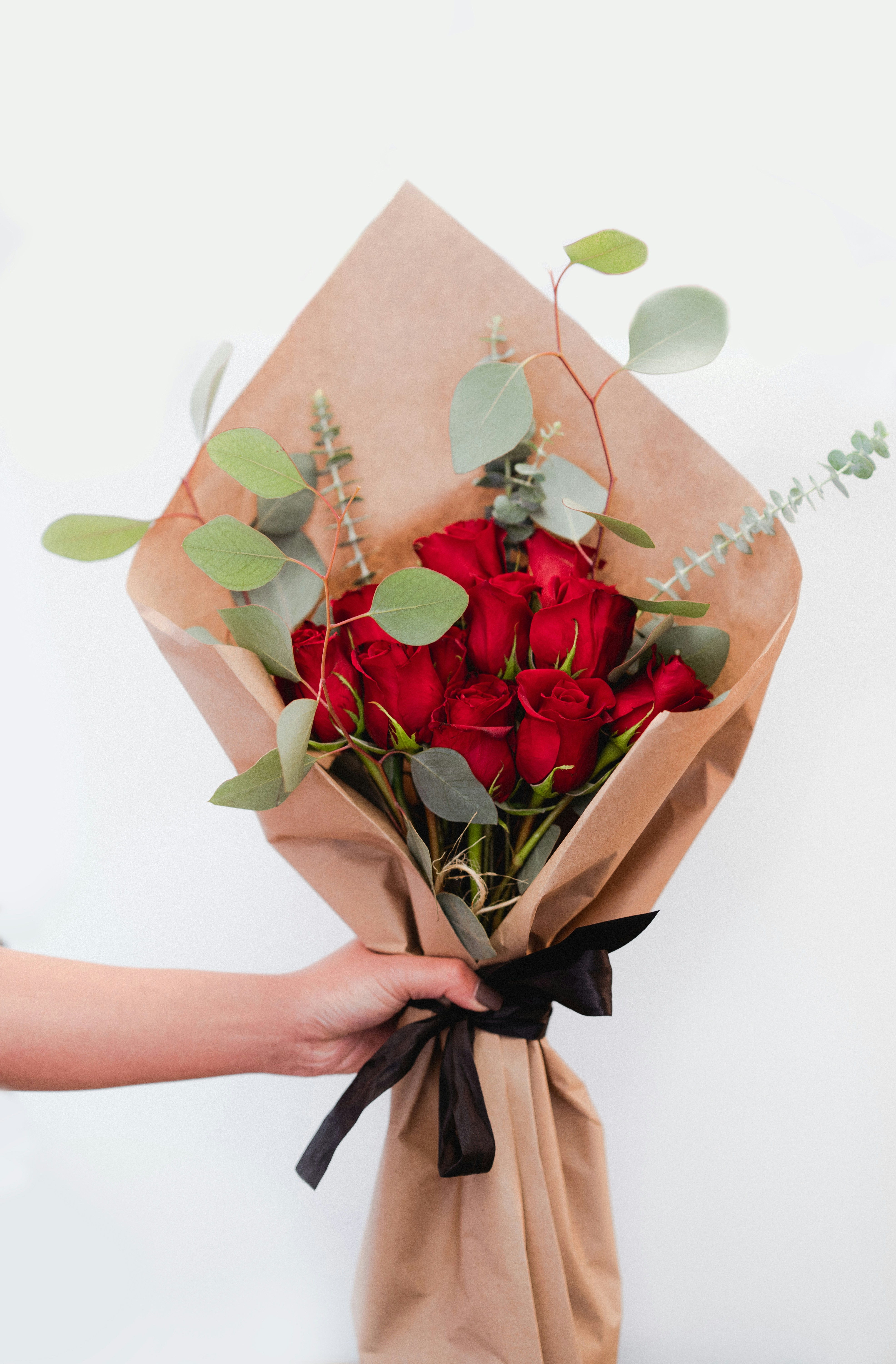 Photo by courtneymcook