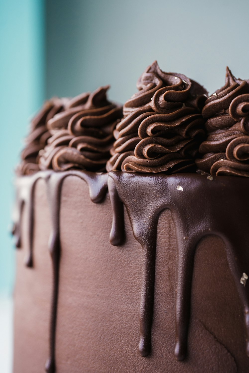 chocolate cake with chocolate toppings