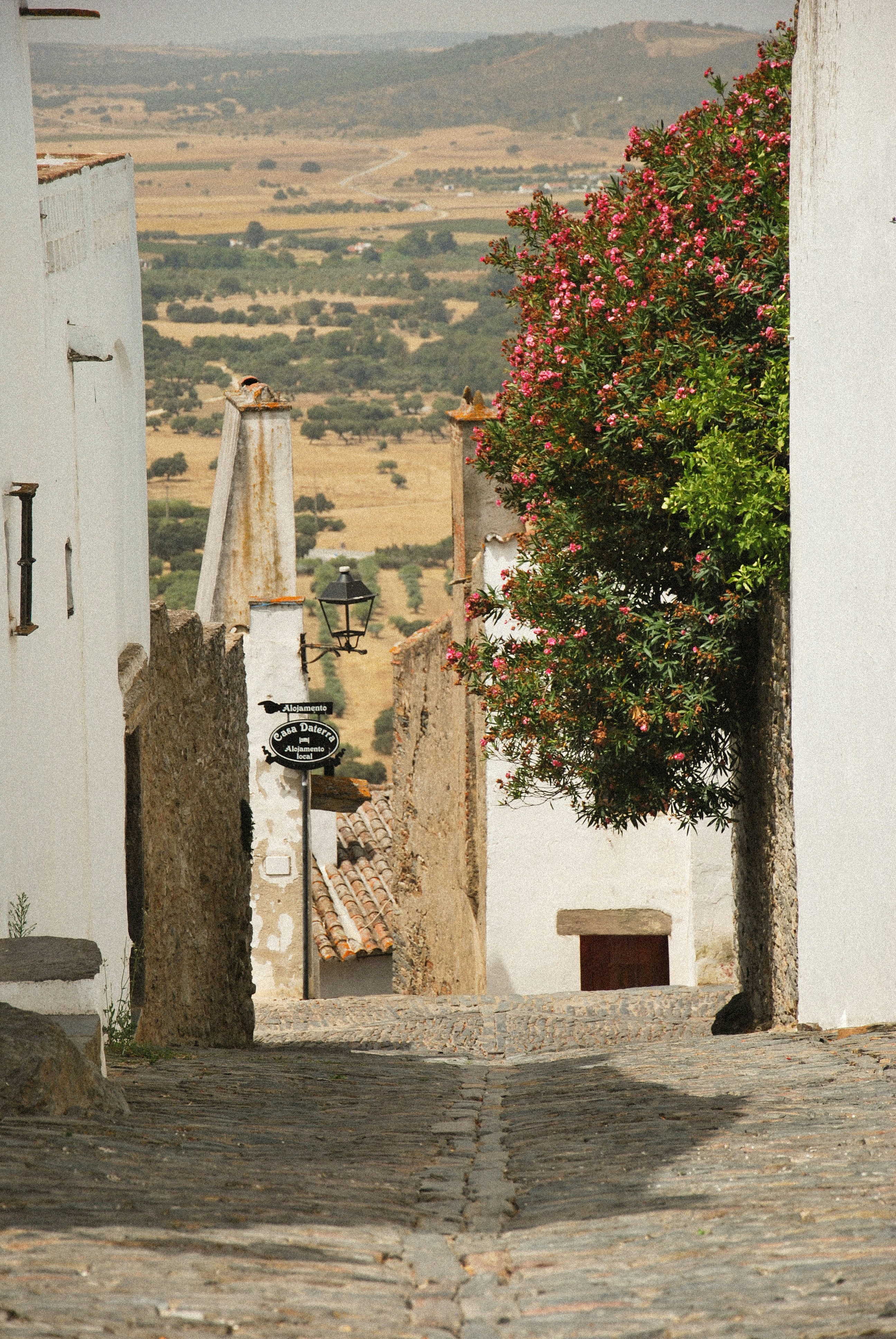 Photo by henriquecpsousa