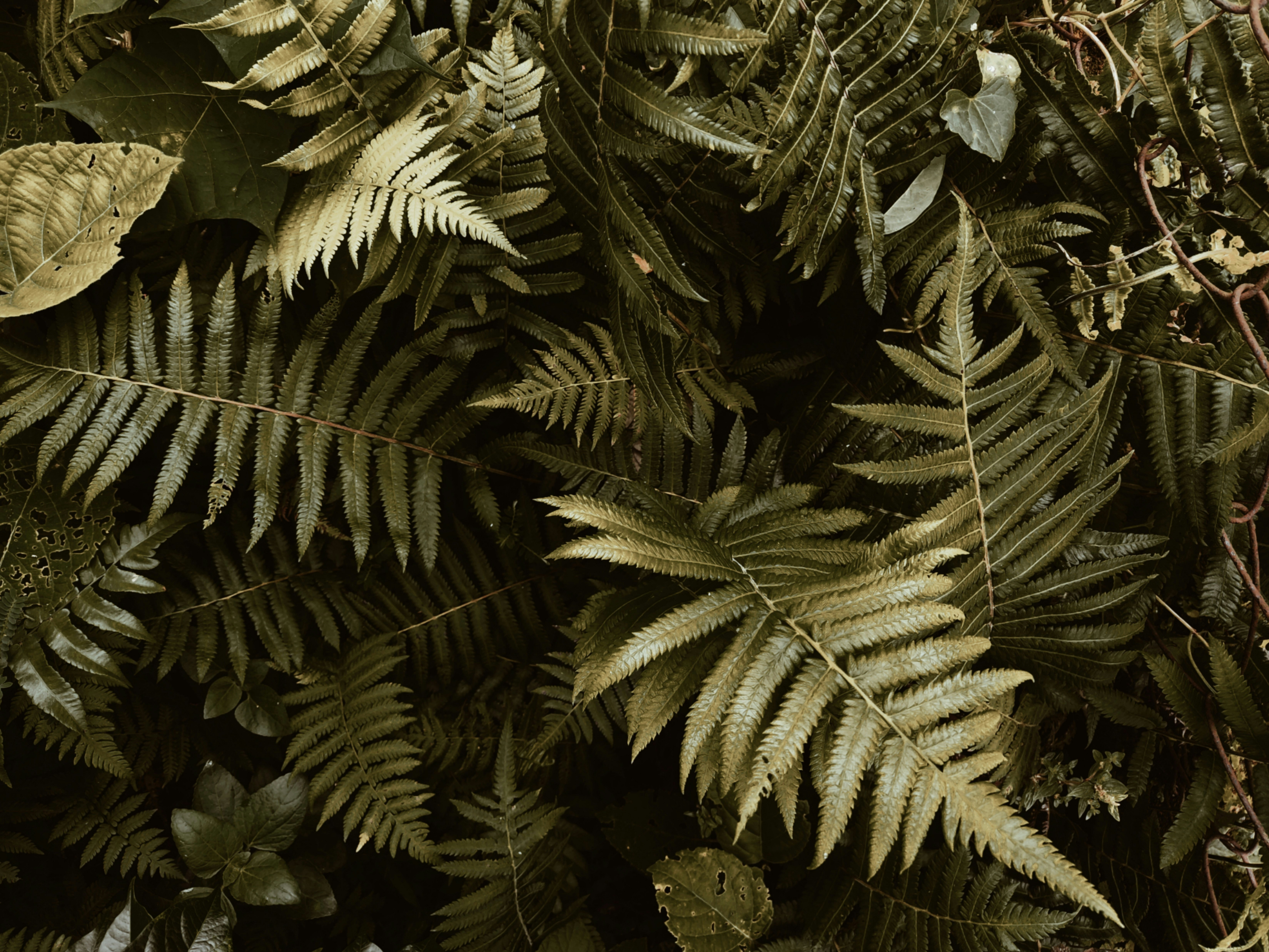 Photo by madhurjyas17