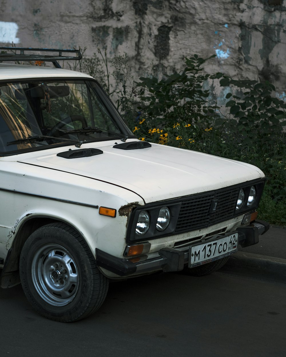 white car parked beside green plants