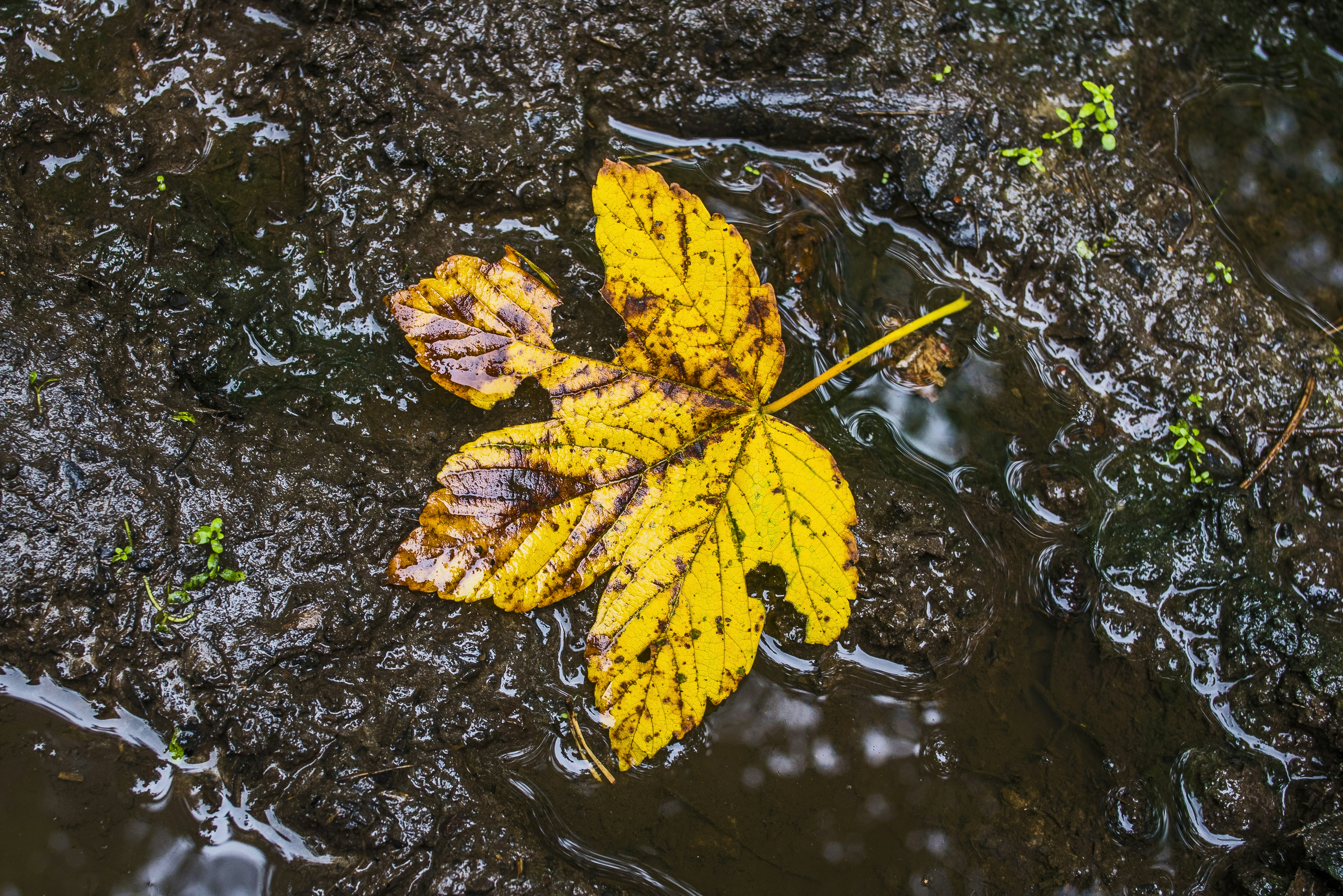 Photo by switch_dtp_fotografie