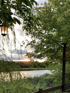 A serene evening scene with a lantern hanging from a tree branch, illuminating a cozy path.