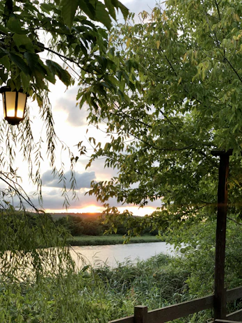 A serene evening scene with a lantern hanging from a tree branch, illuminating a cozy path.