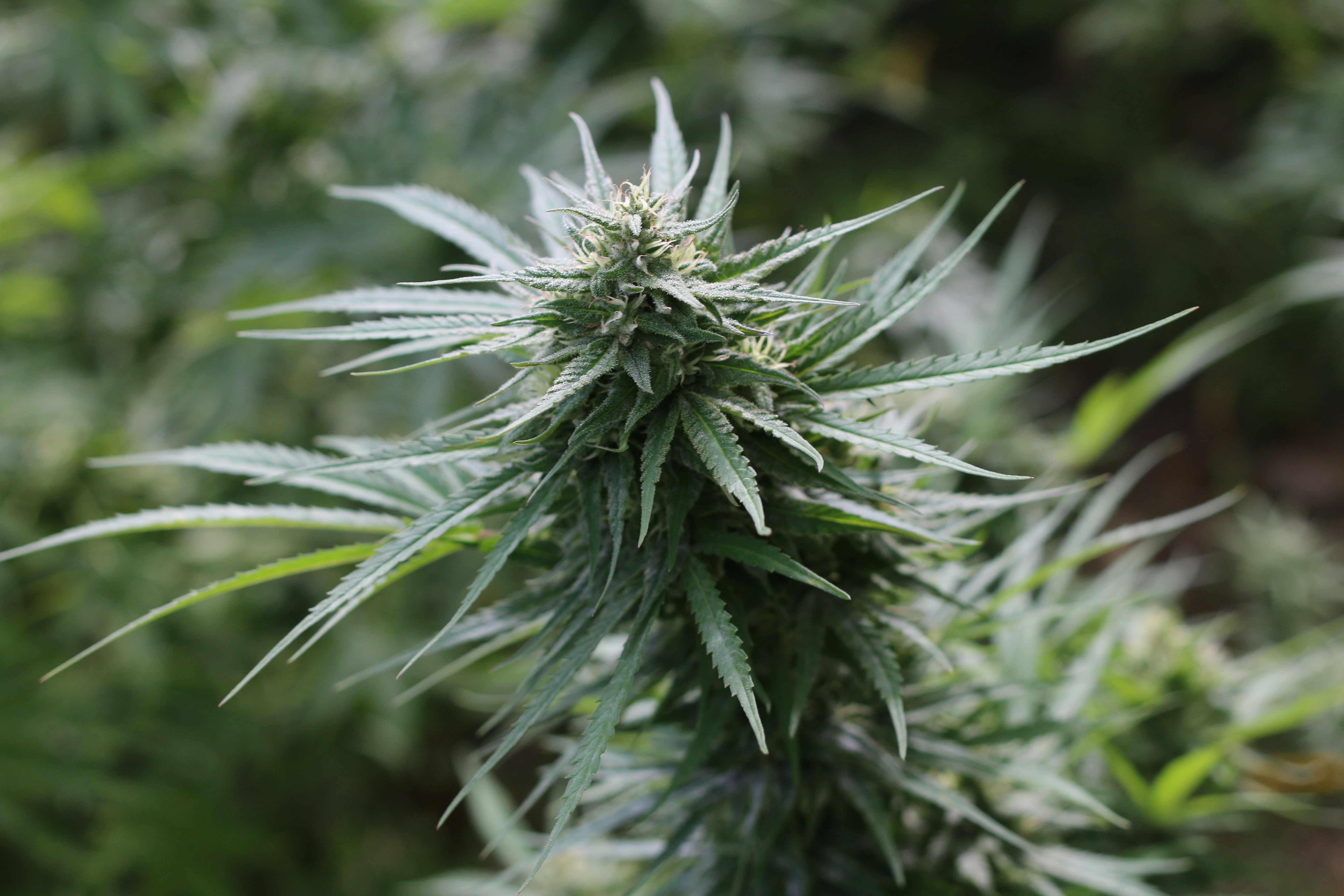 Photo by dominiquestueben