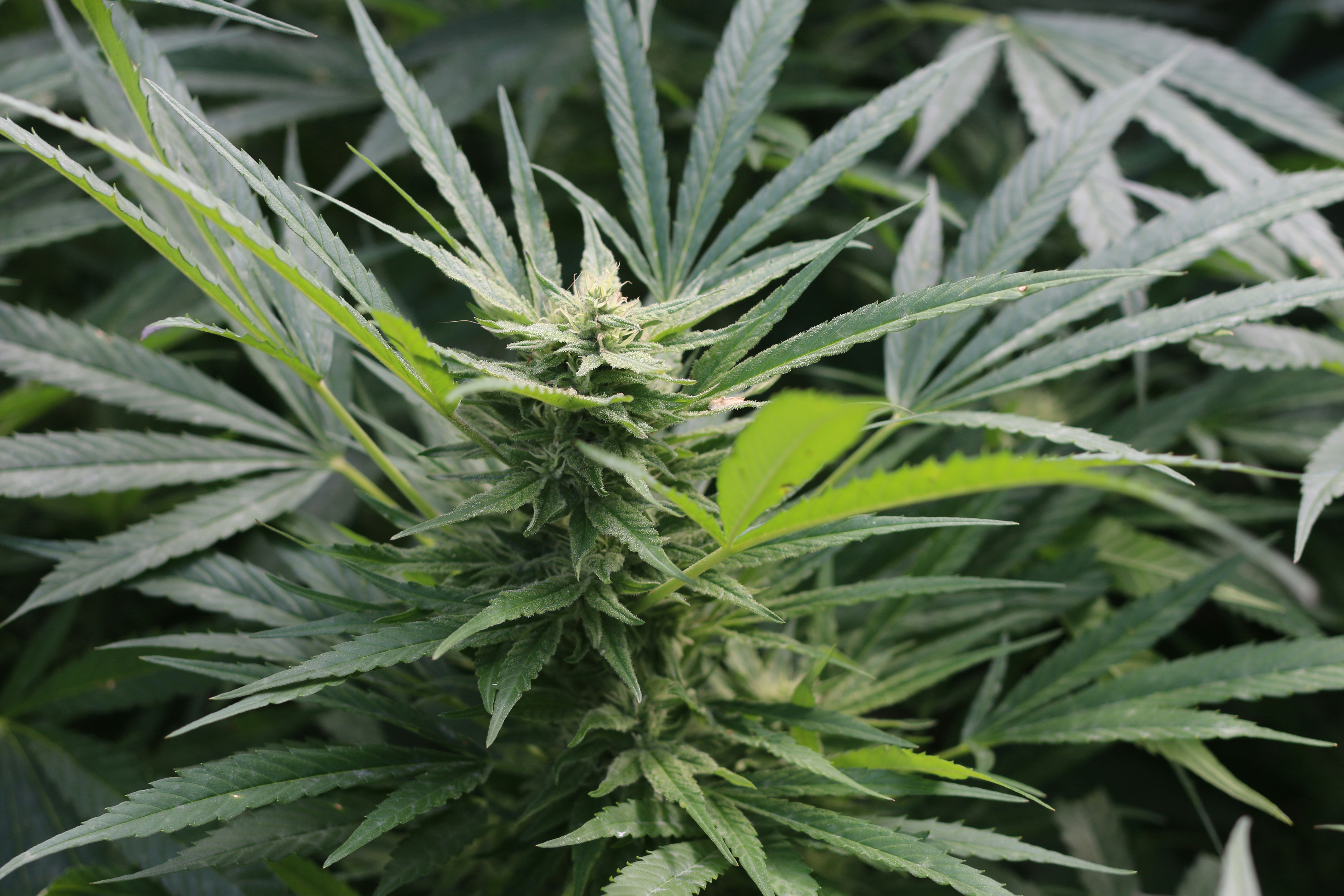 Photo by dominiquestueben