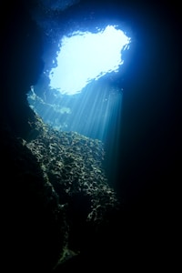 Looking up through ocean depths