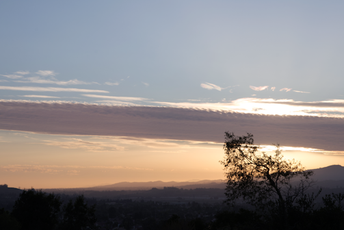 A serene landscape of rolling hills under a soft sunset sky, with a lone tree in the foreground.
