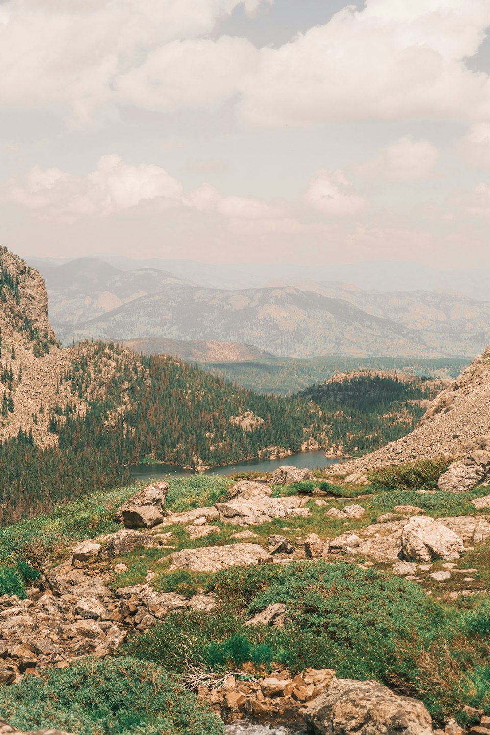 green trees on brown mountain during daytime