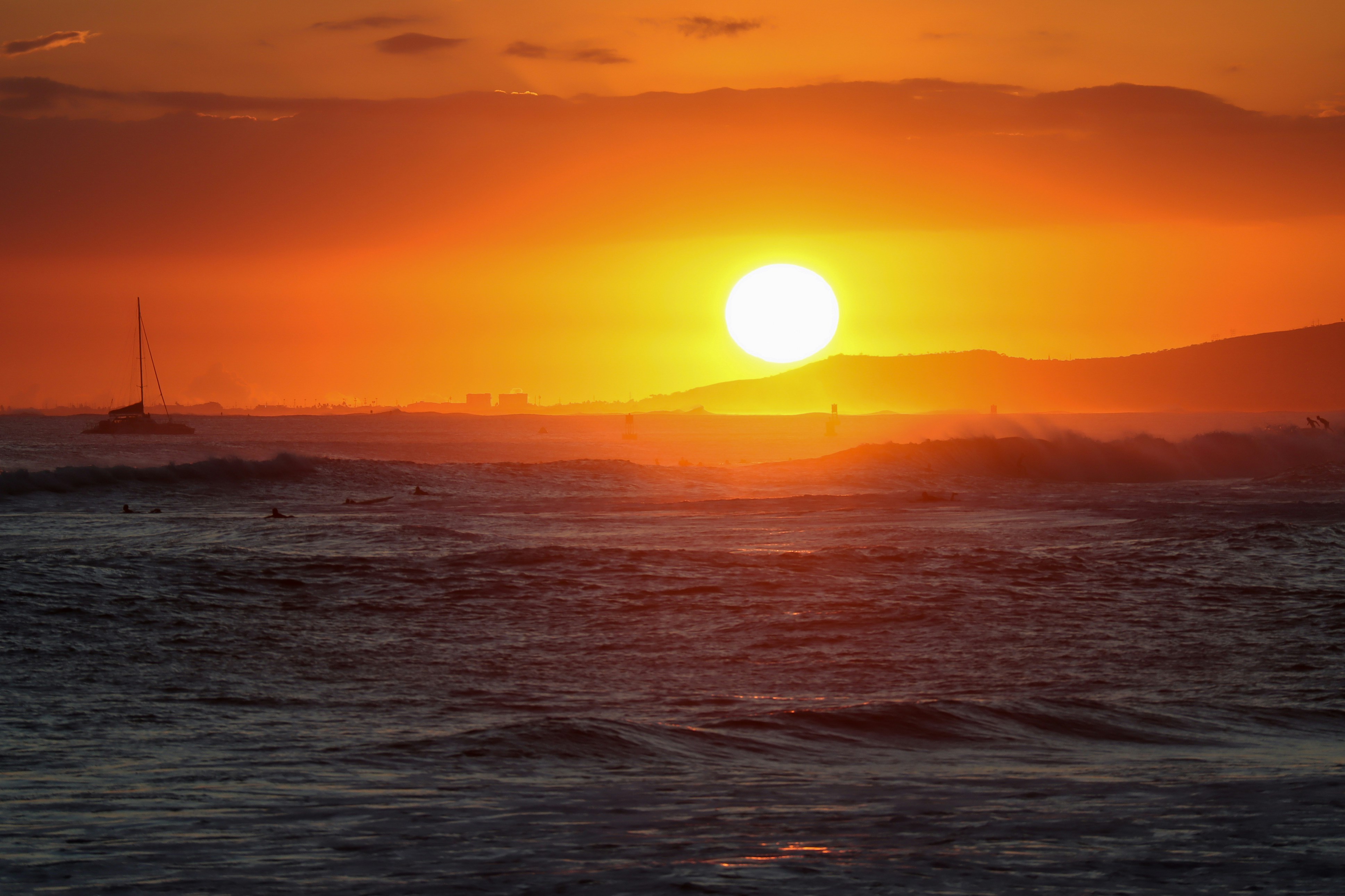 Photo by little_plant