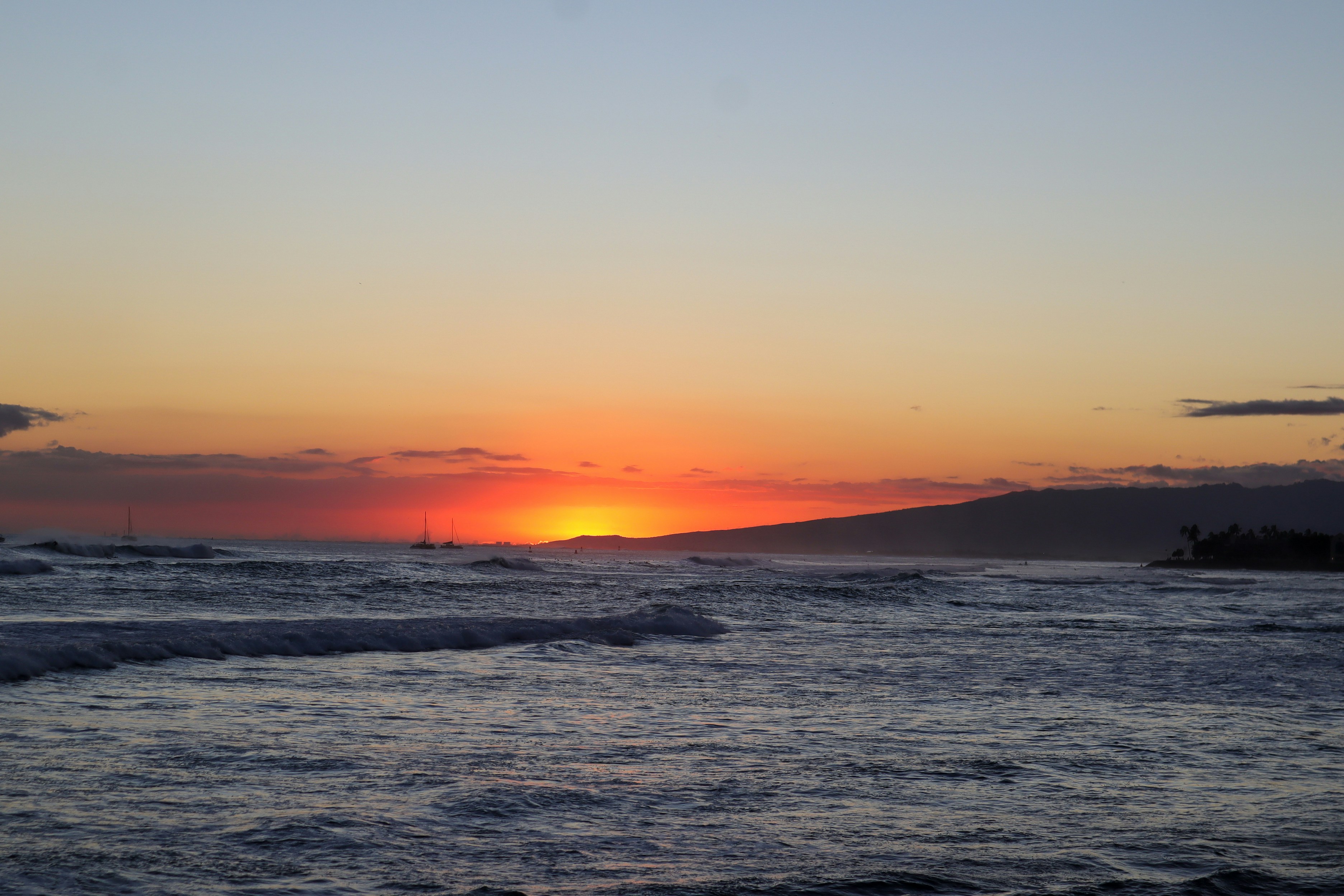 Photo by little_plant