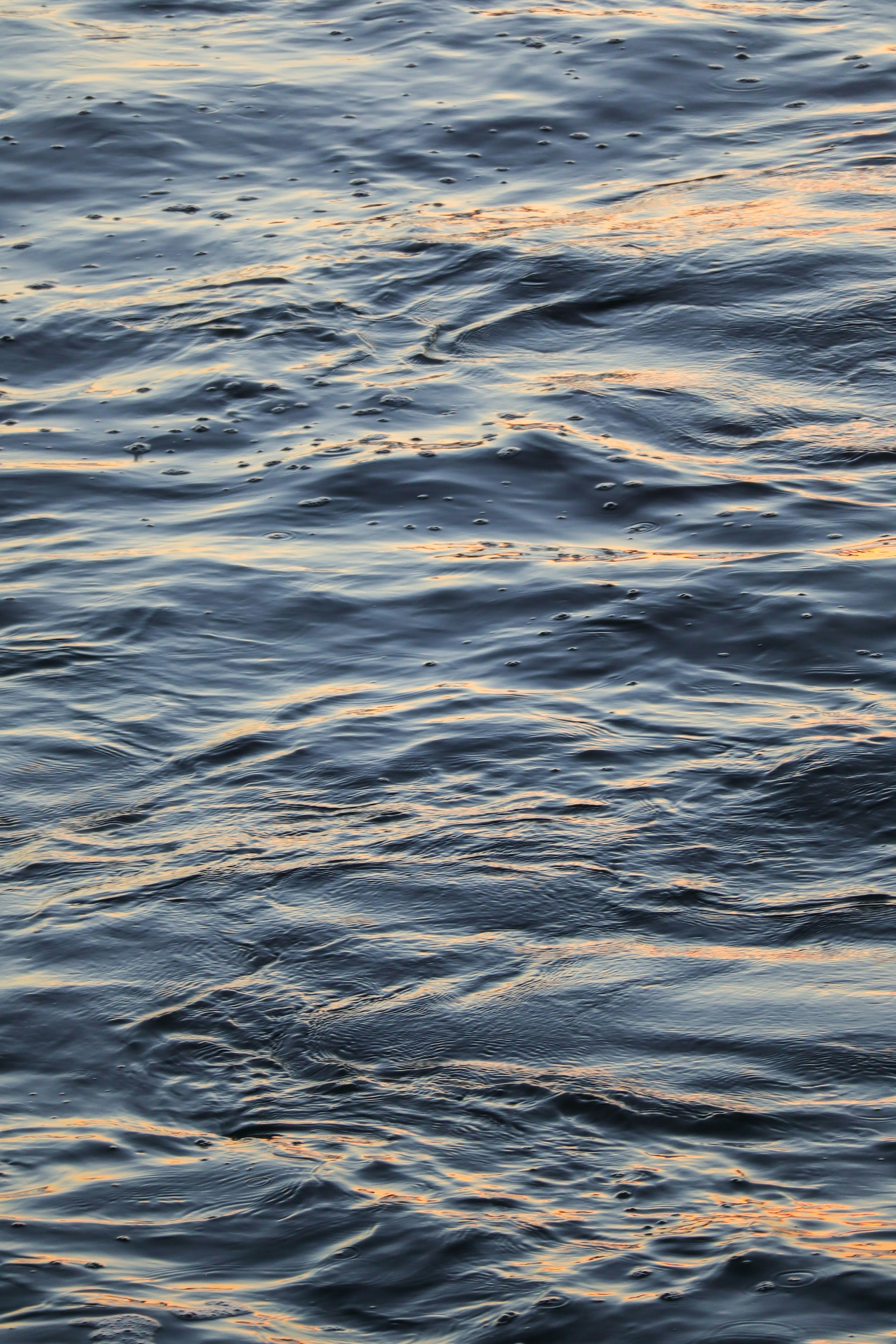 Photo by little_plant