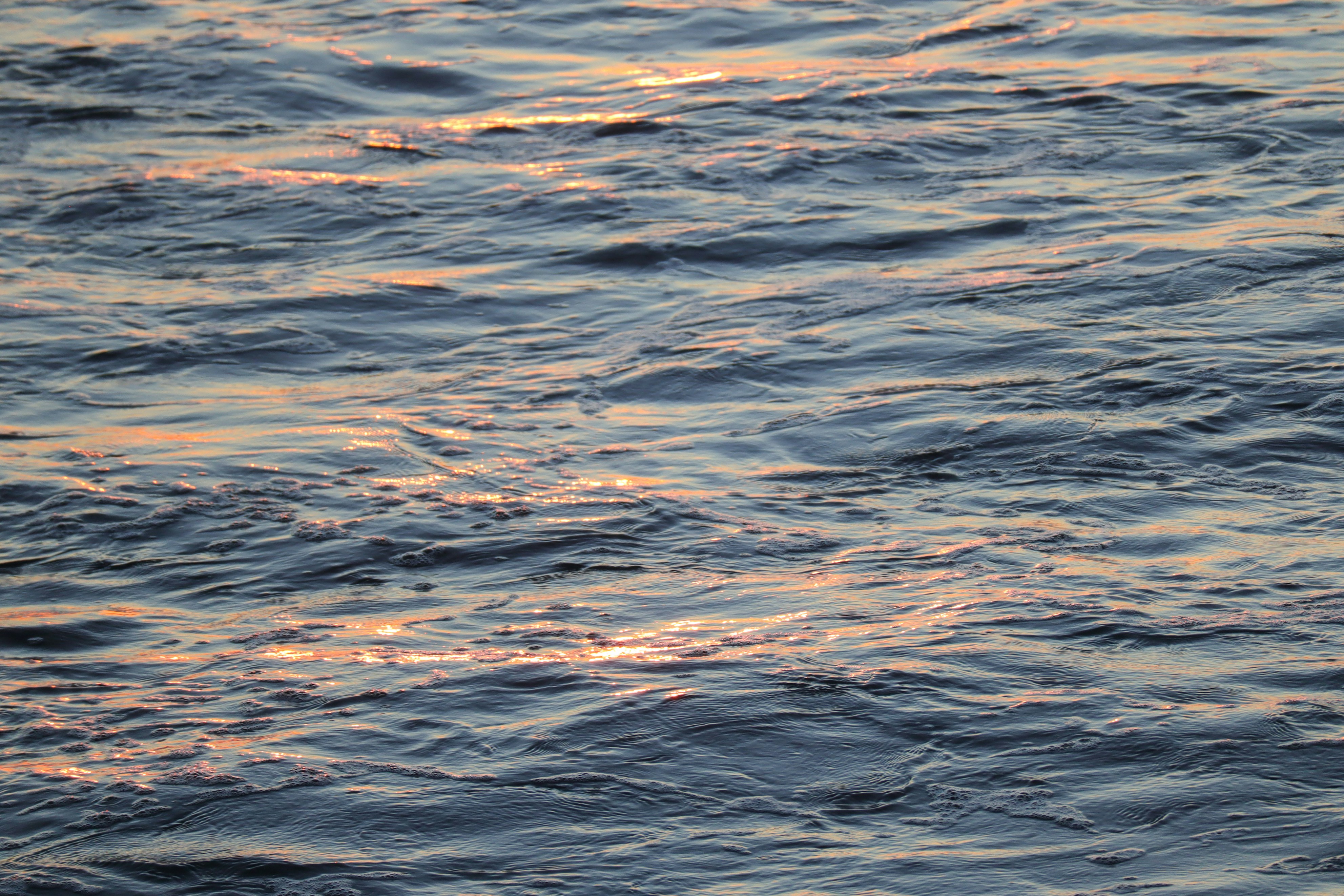 Photo by little_plant