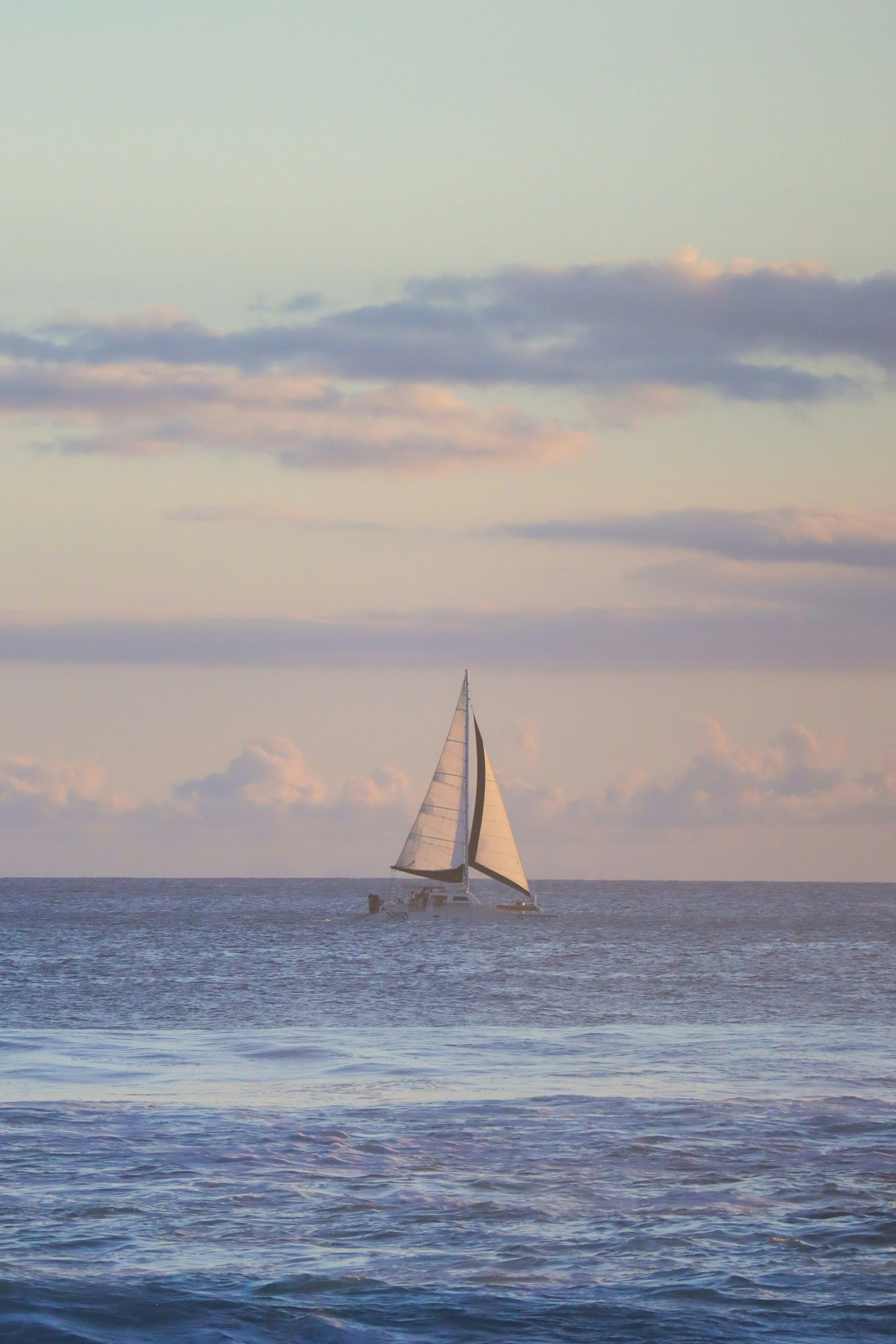 Photo by little_plant