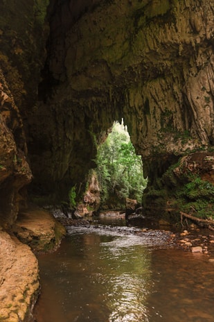 brown rock formation near river during daytime