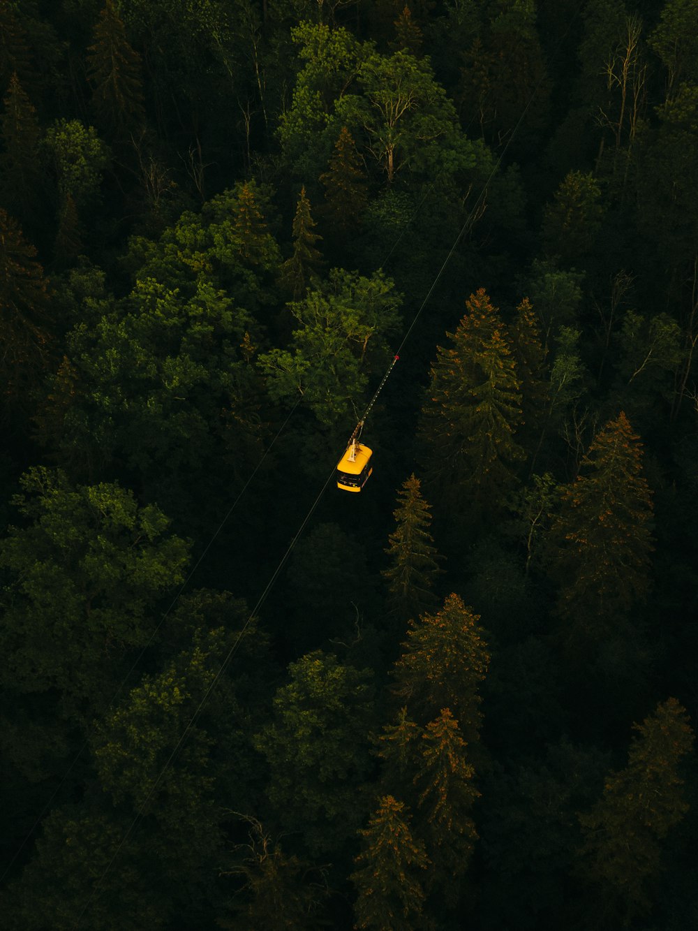 yellow cable car over green trees during daytime