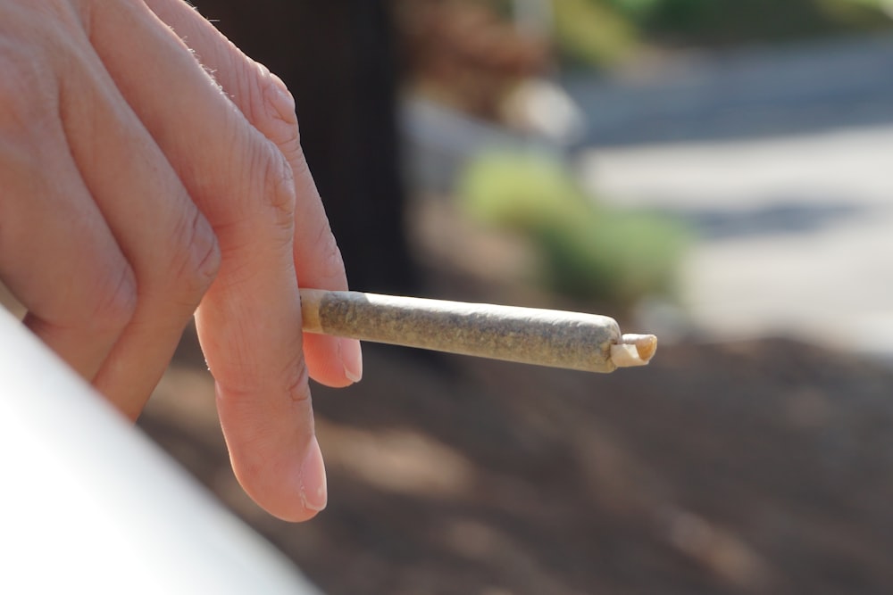 person holding white cigarette stick