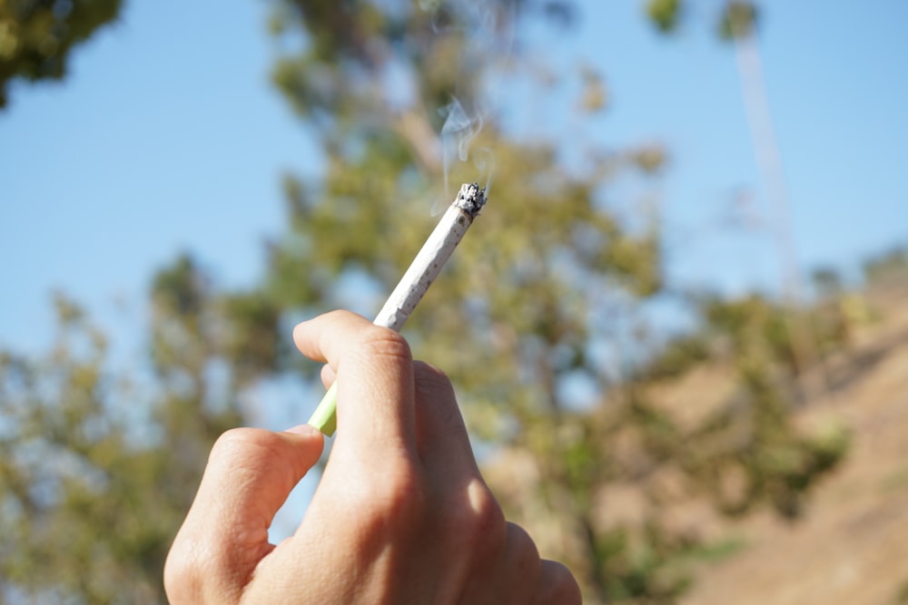 person holding white cigarette stick