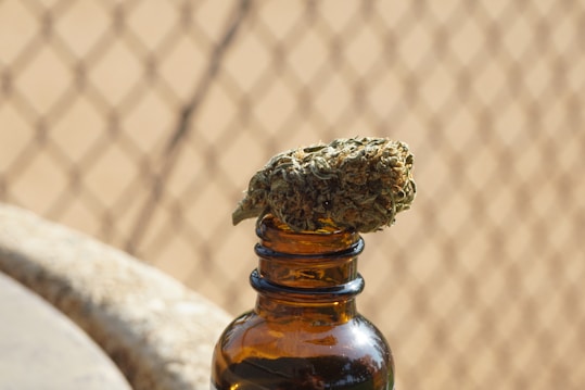 A dried cannabis bud is placed on top of an amber glass bottle, set against a blurred background of a chain-link fence.