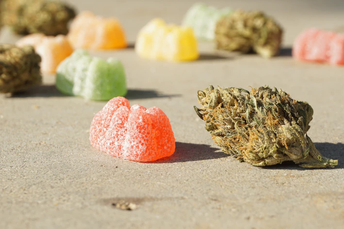 Close-up of colorful cannabis-infused gummies neatly arranged on a wooden table