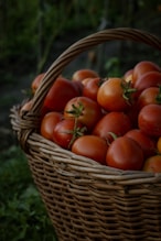 red tomatoes in brown woven basket
