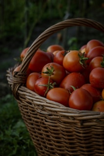 red tomatoes in brown woven basket