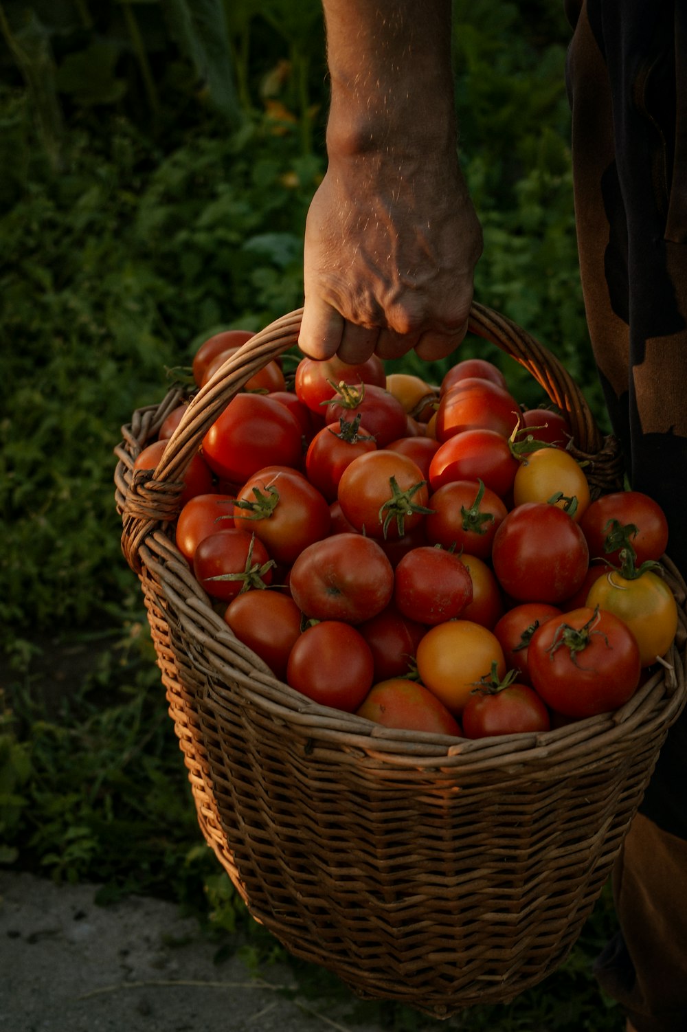 red apples in brown woven basket