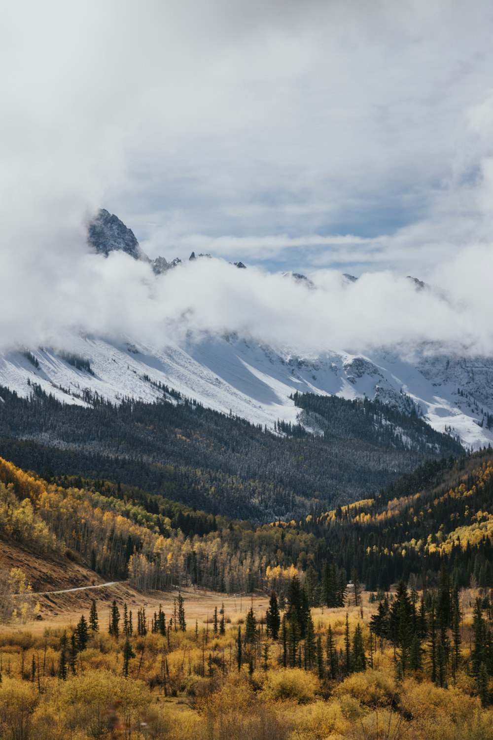 green trees and snow covered mountain during daytime