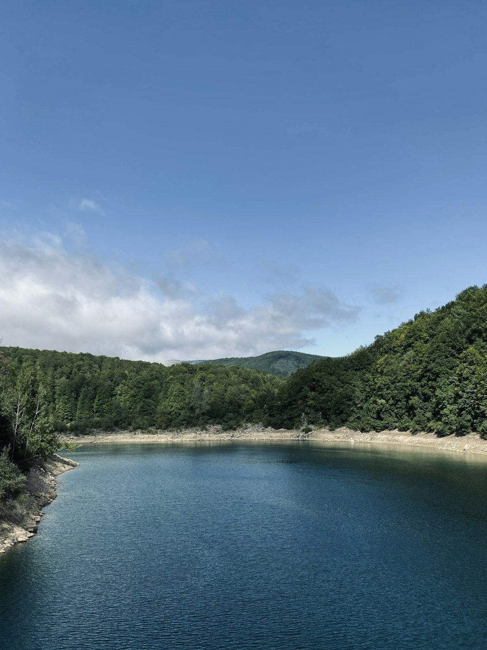 green trees near blue lake under blue sky during daytime