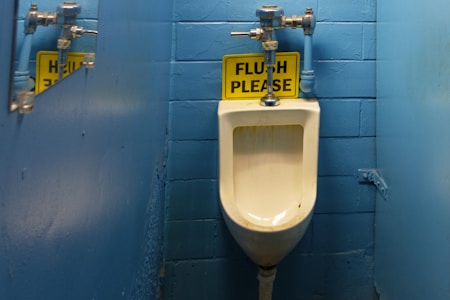 A urinal mounted on a blue tiled wall, accompanied by a sign reading 'FLUSH PLEASE' in yellow and black. The plumbing fixtures are visible above the urinal, and there is a partial reflection on the left side from the adjacent mirror.