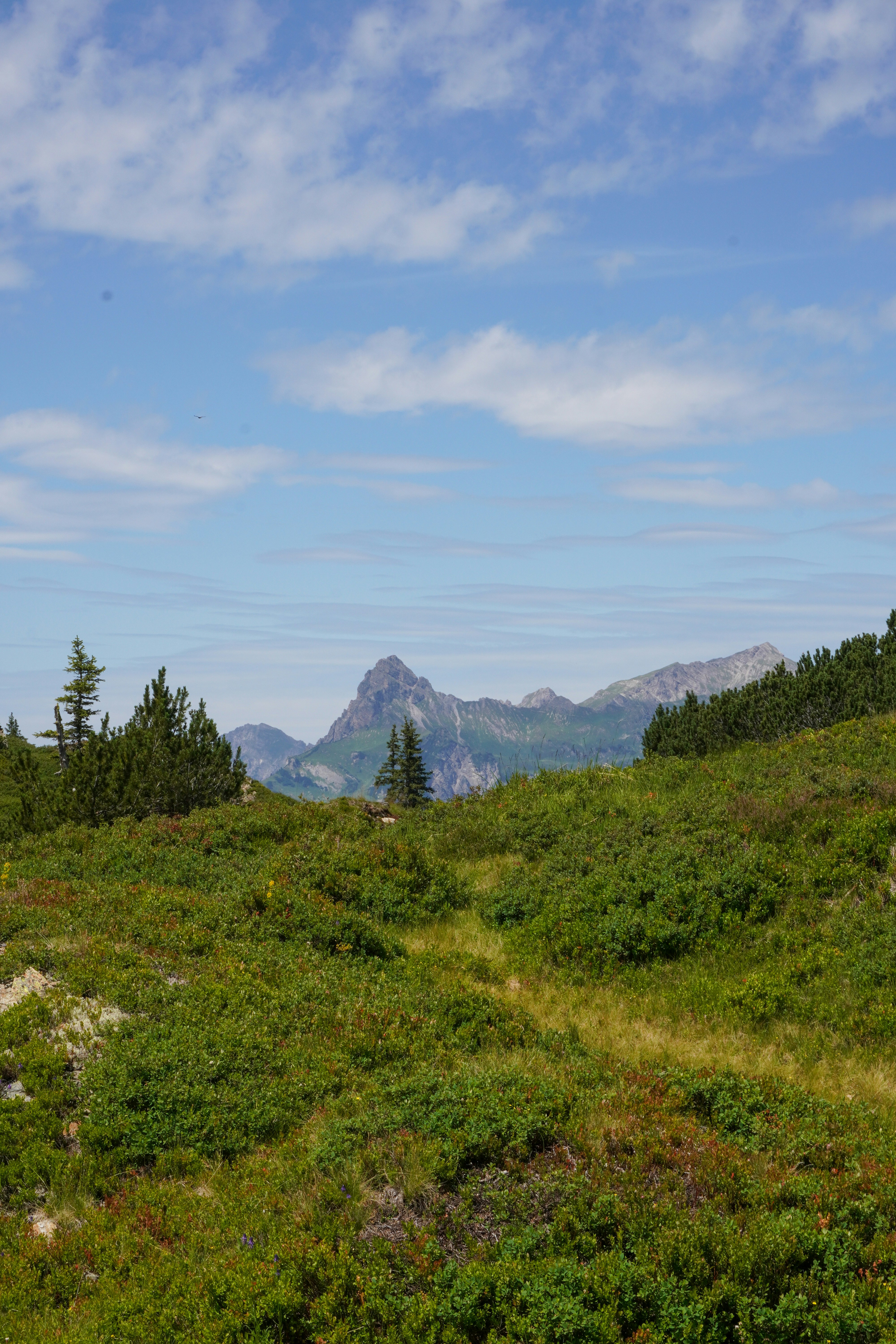 Photo by nathanael_schmer