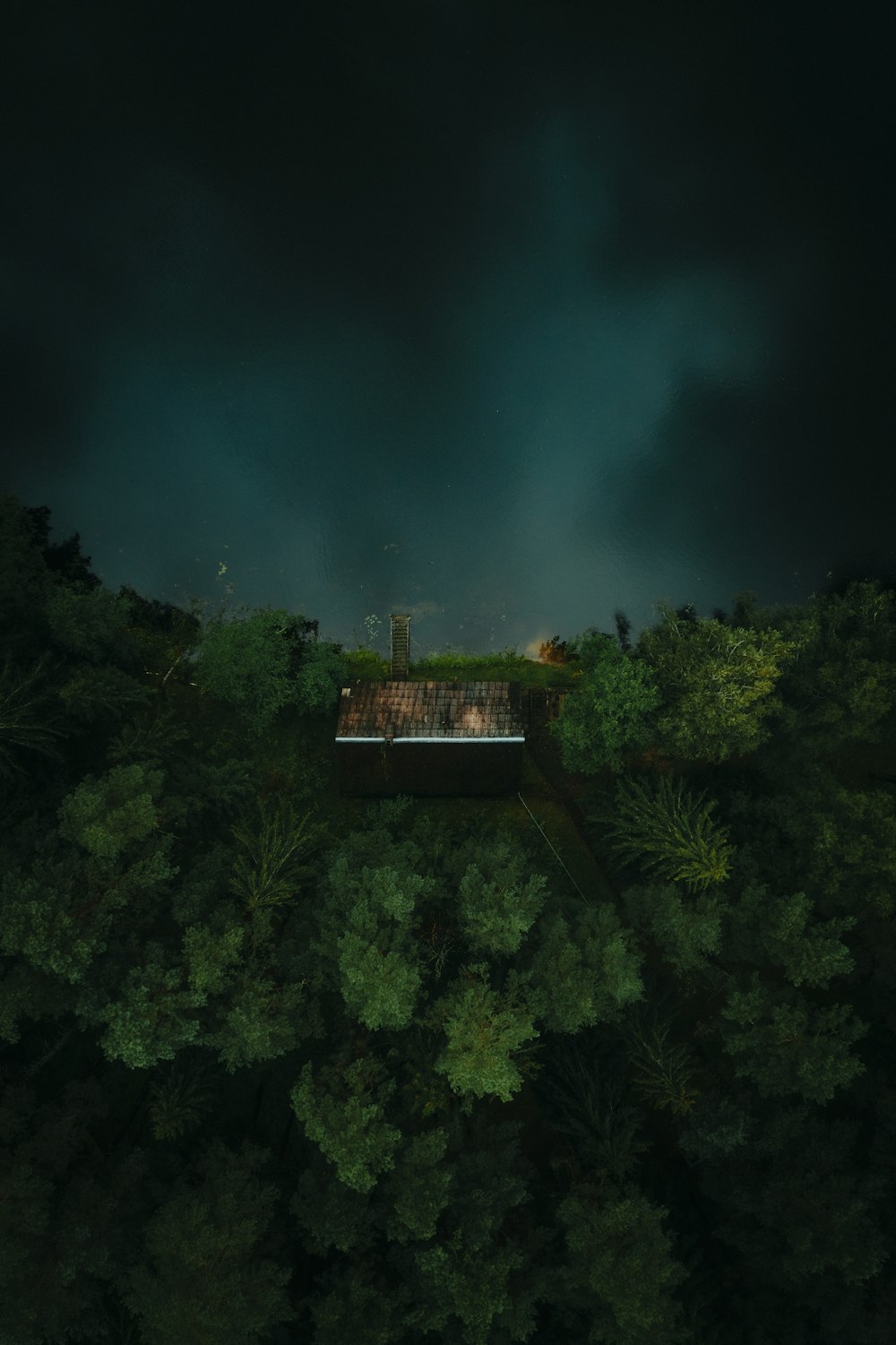 green trees under blue sky during night time