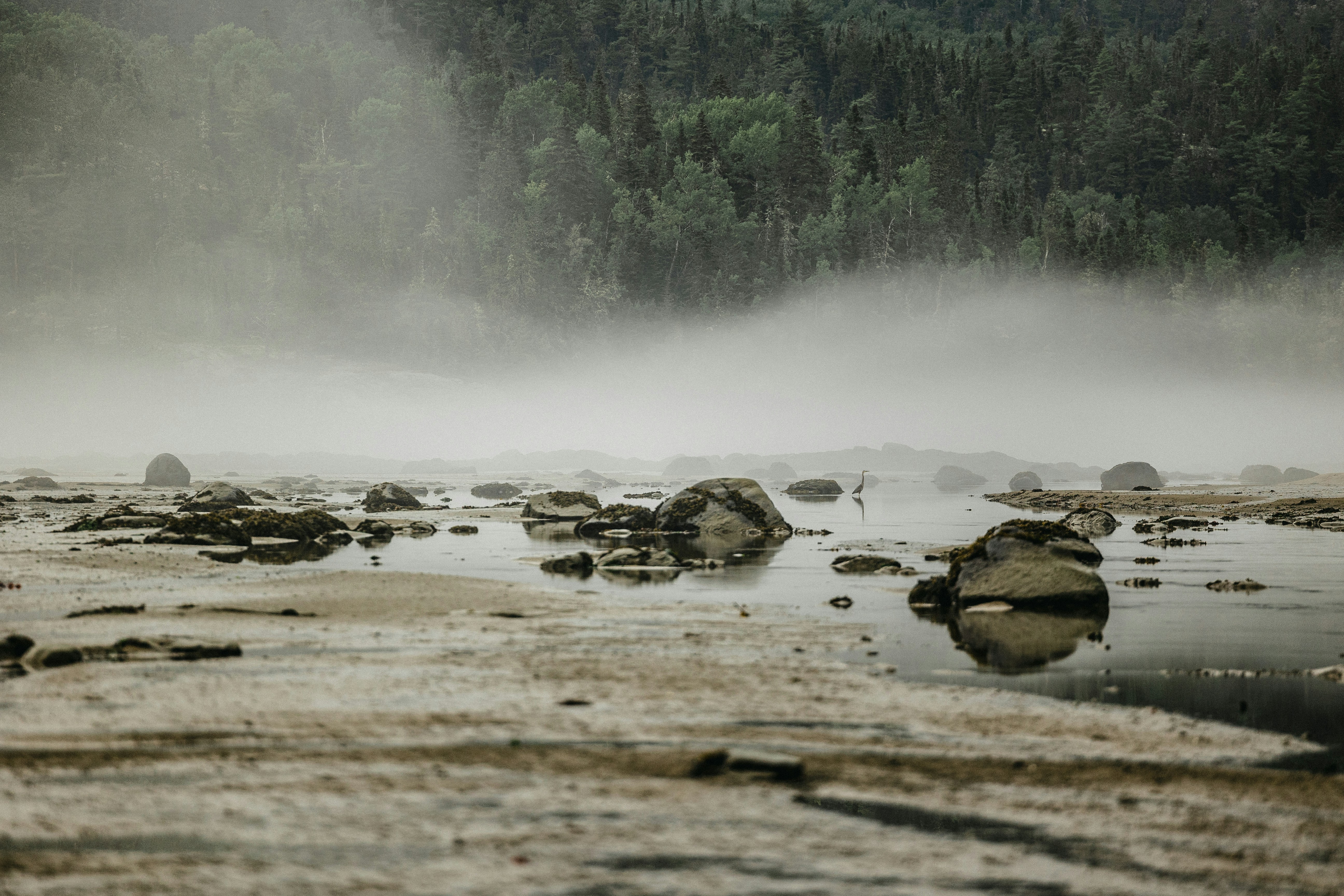 Photo by lydia_mailloux