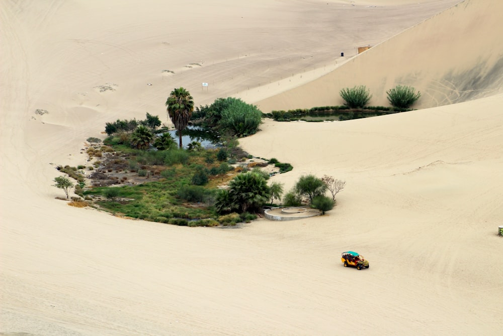 yellow and blue car on brown sand